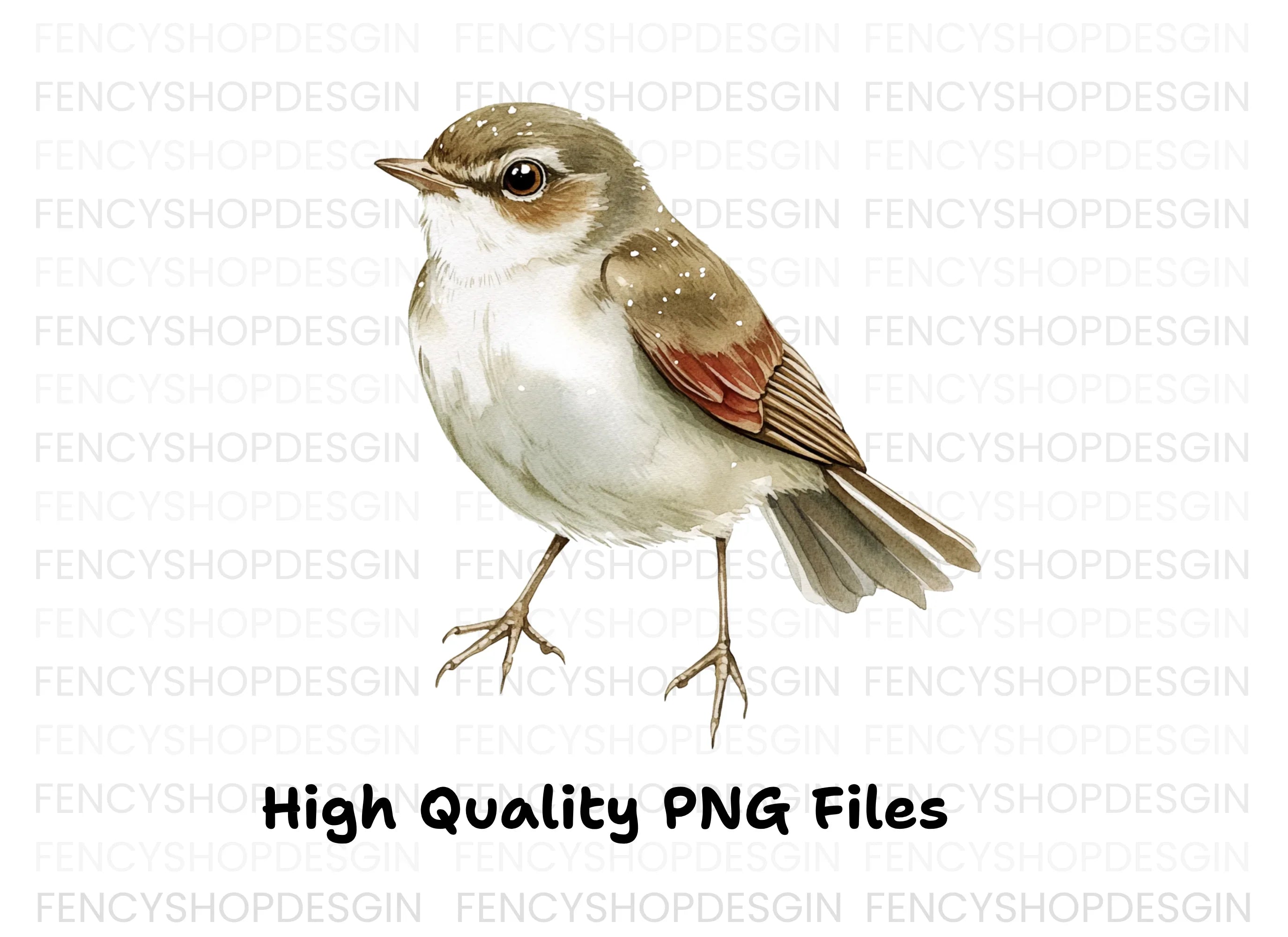 Charming Spotted Bird Clipart Bundle