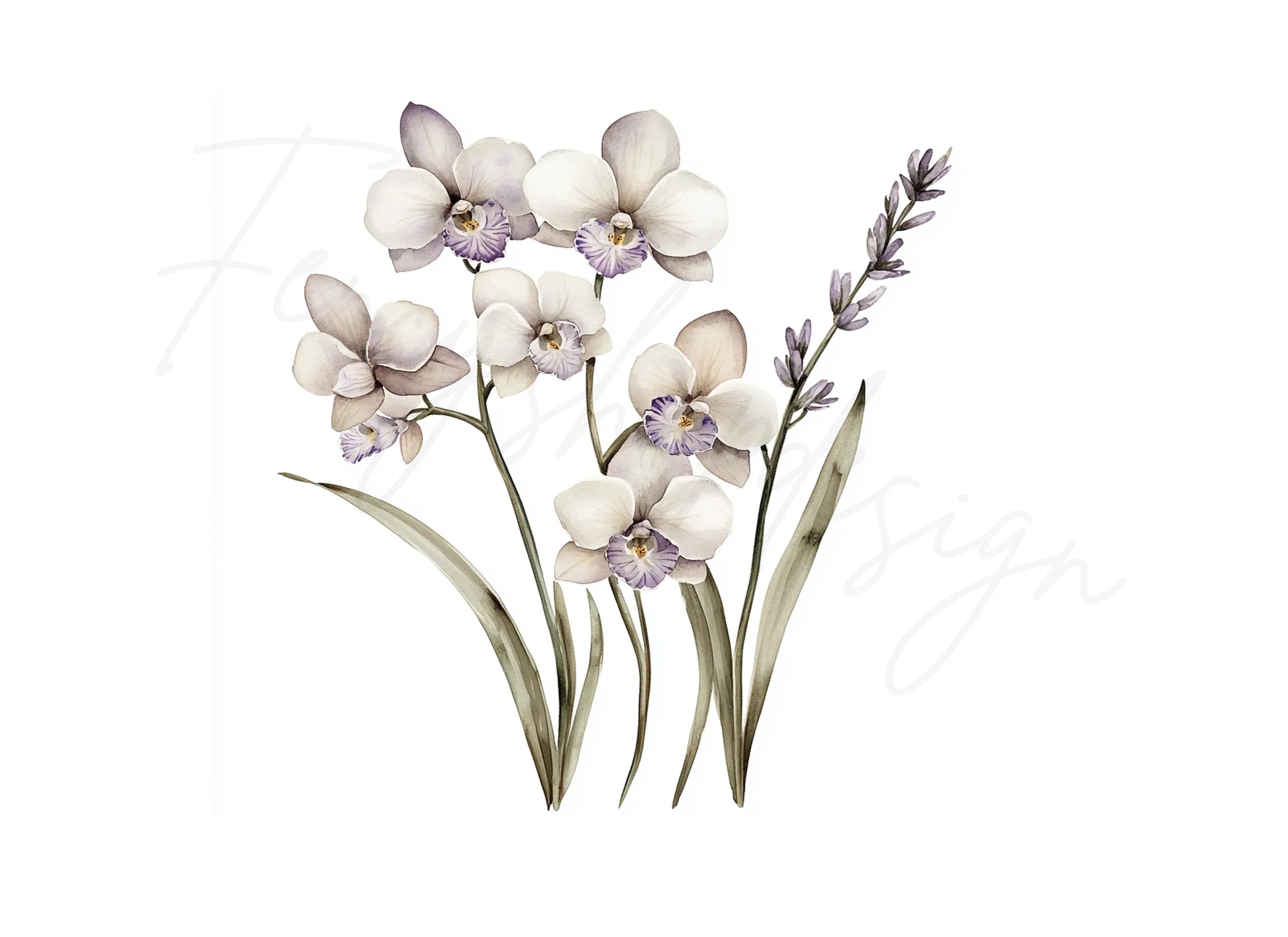 Elegant Orchid Clipart Bundle