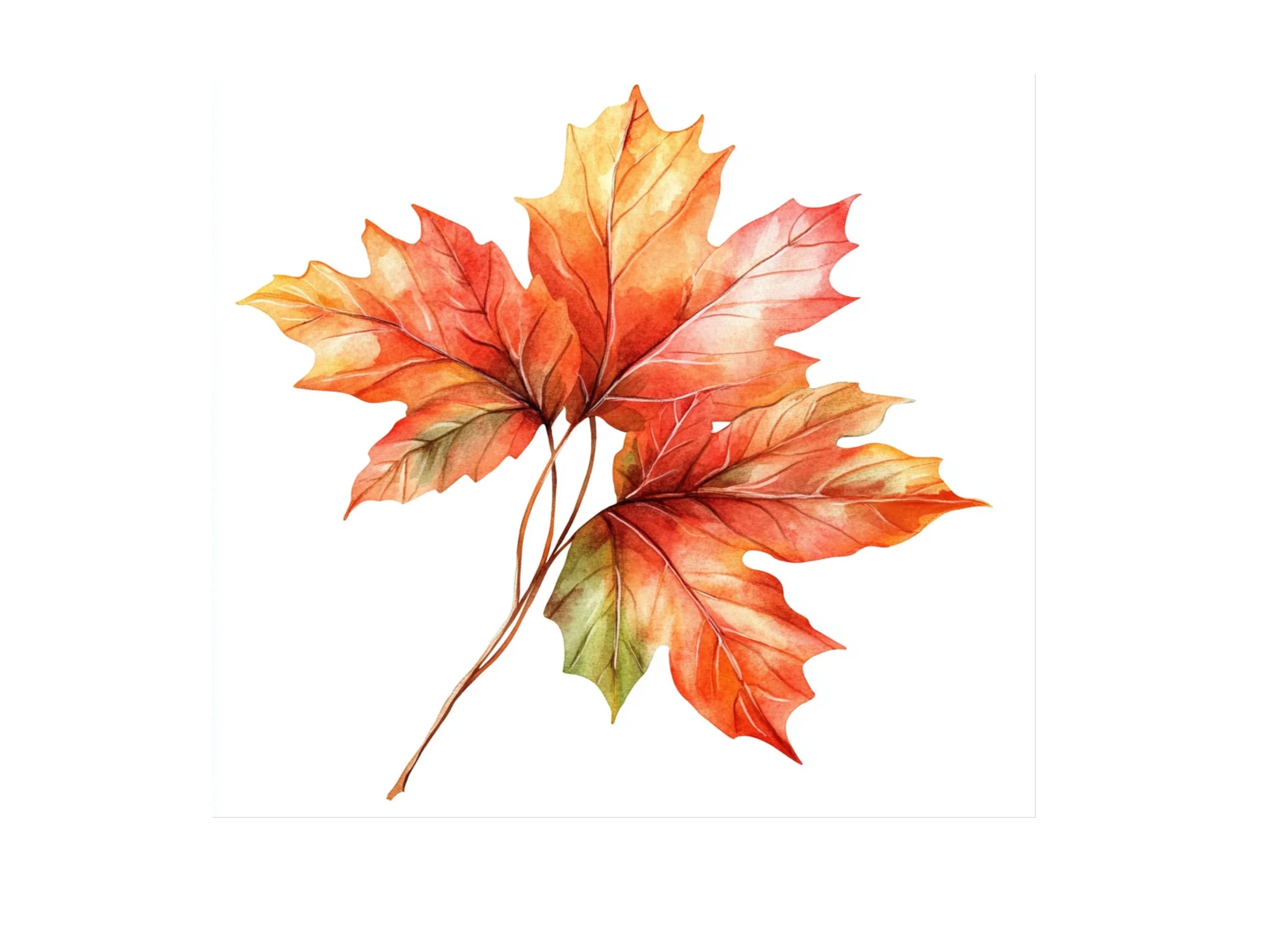 Autumn Leaves Clipart Bundle