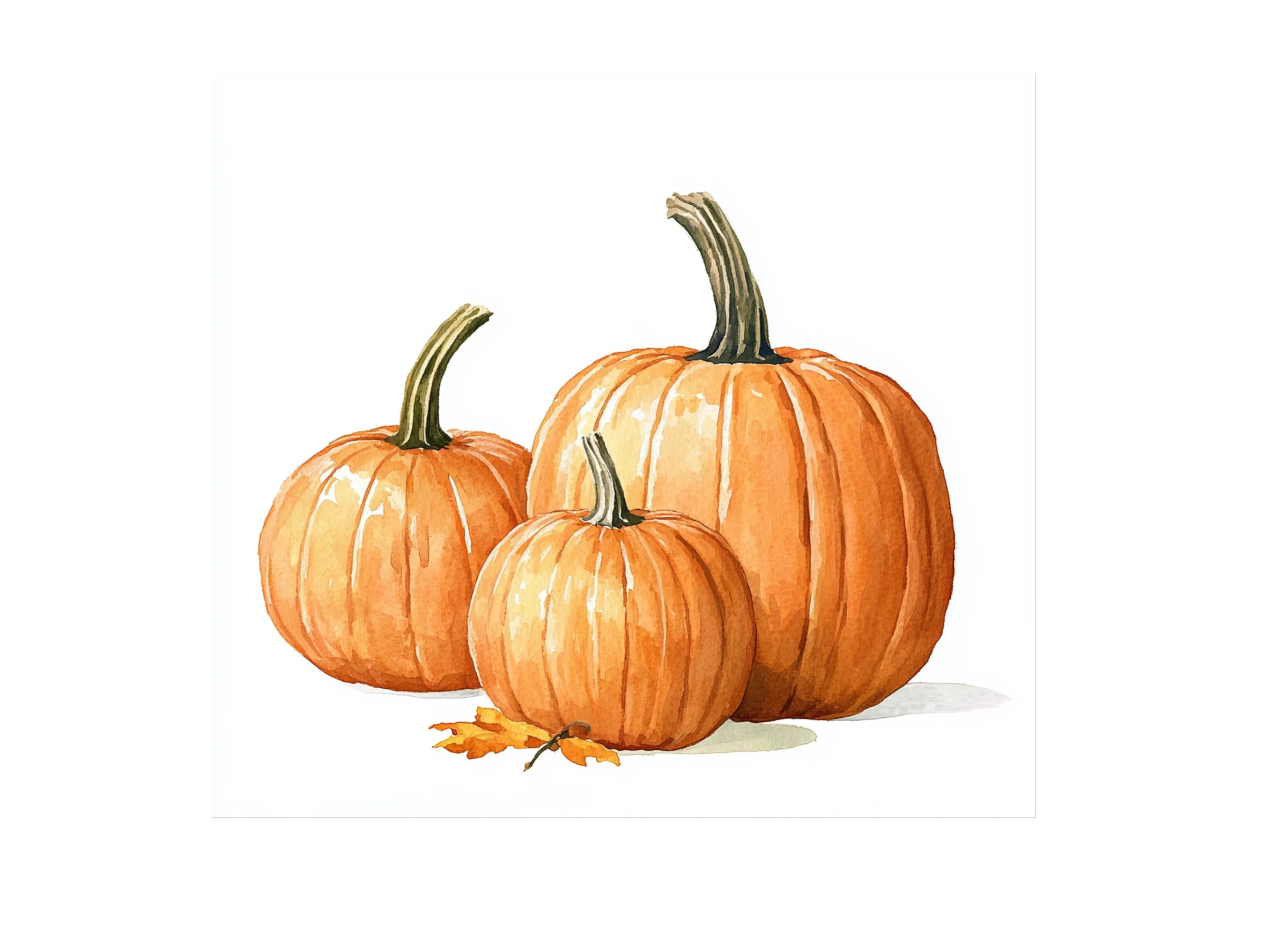 Pumpkin Clipart Bundle