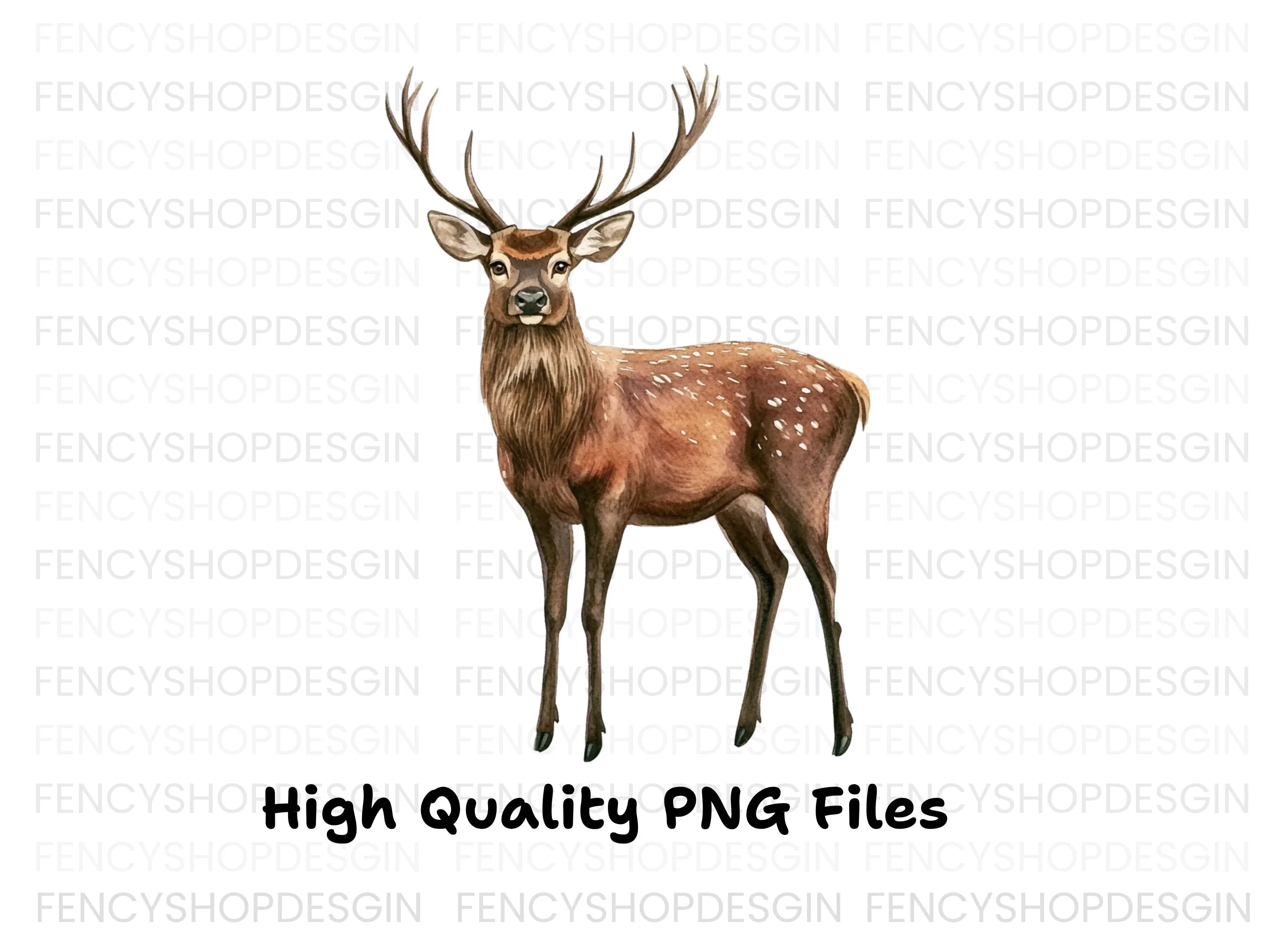 Majestic Deer Clipart Bundle