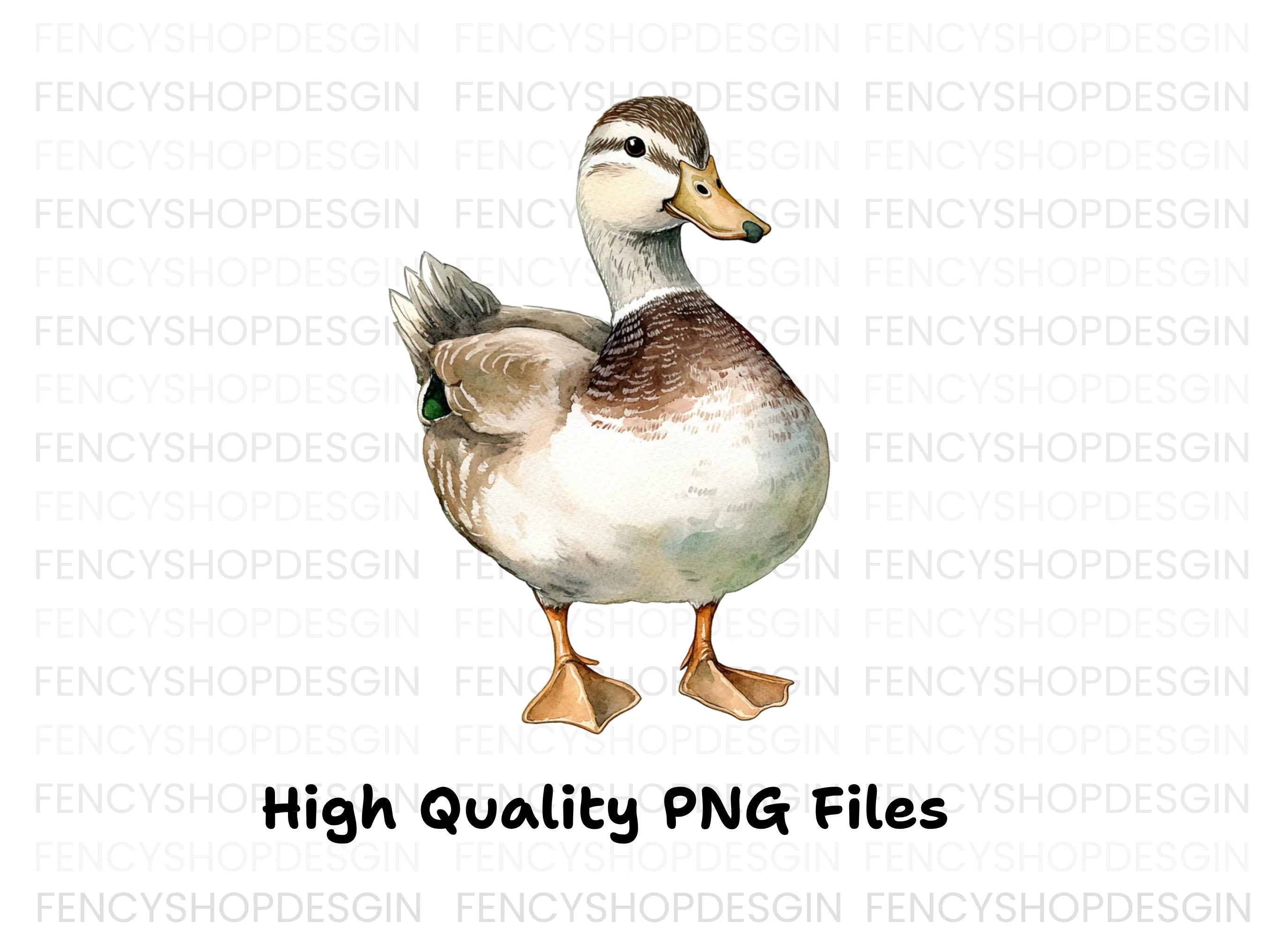 Cute Mallard Duck Clipart Bundle