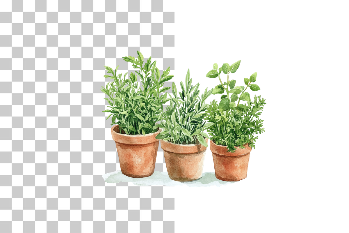 Potted Herb Garden Clipart Bundle