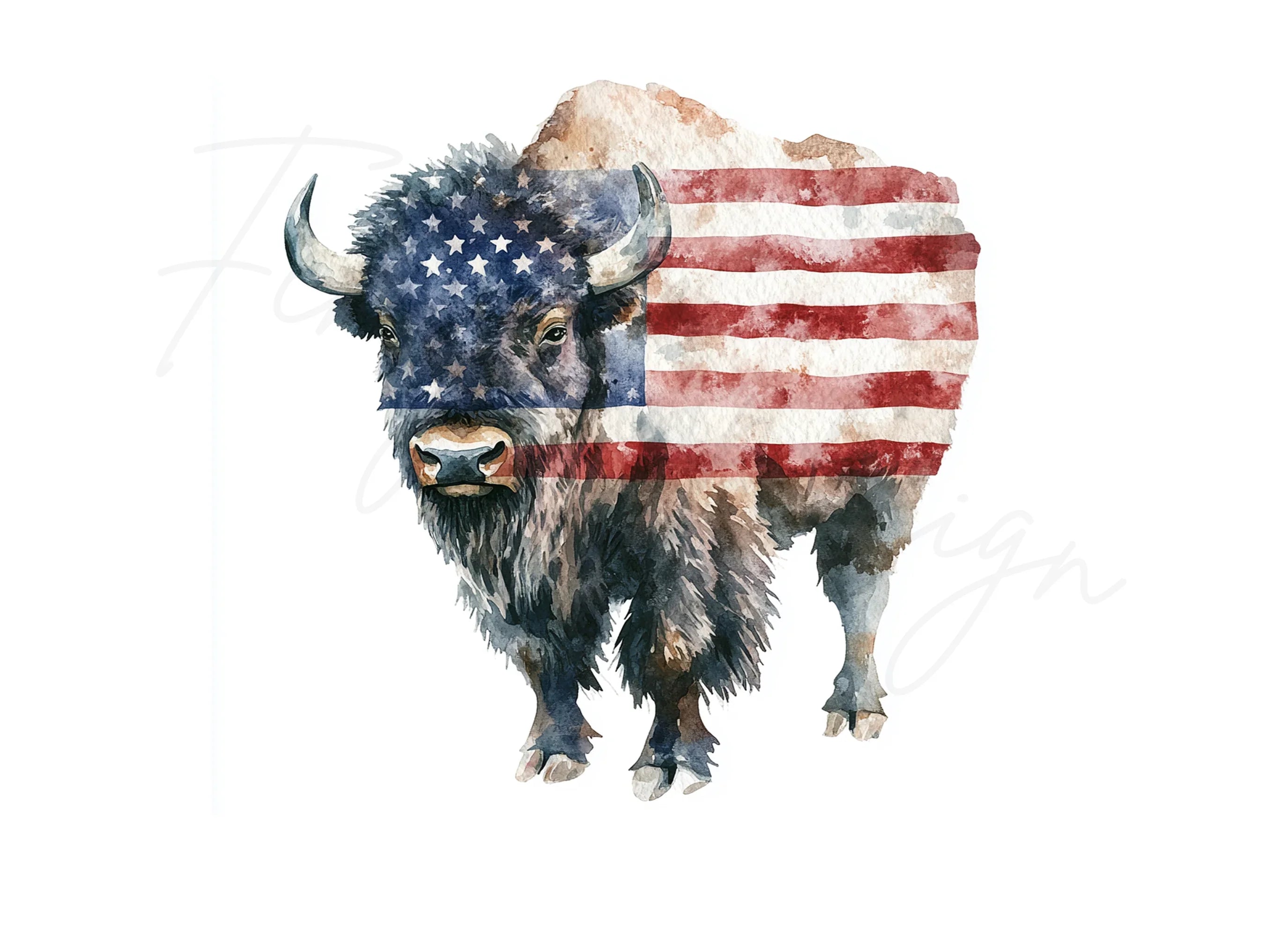 American Bison Clipart Bundle