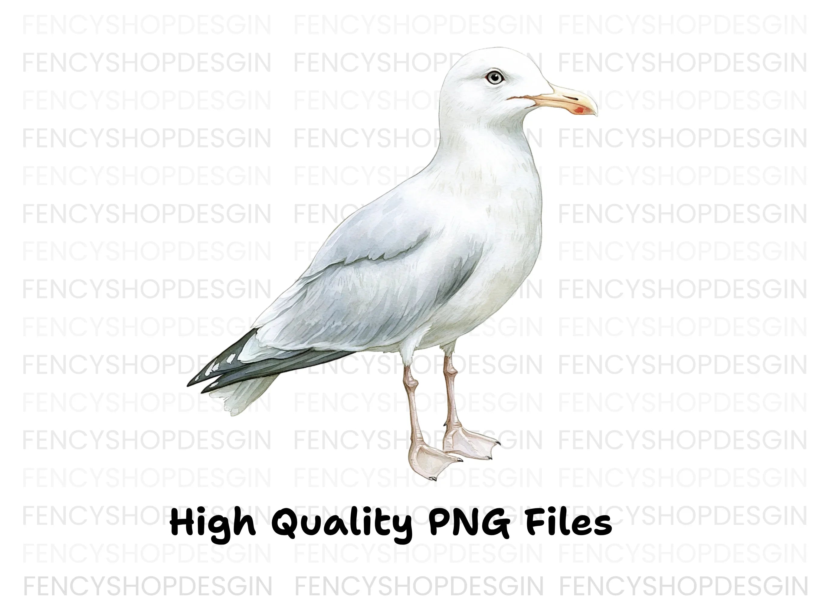 Graceful Seagull Clipart Bundle