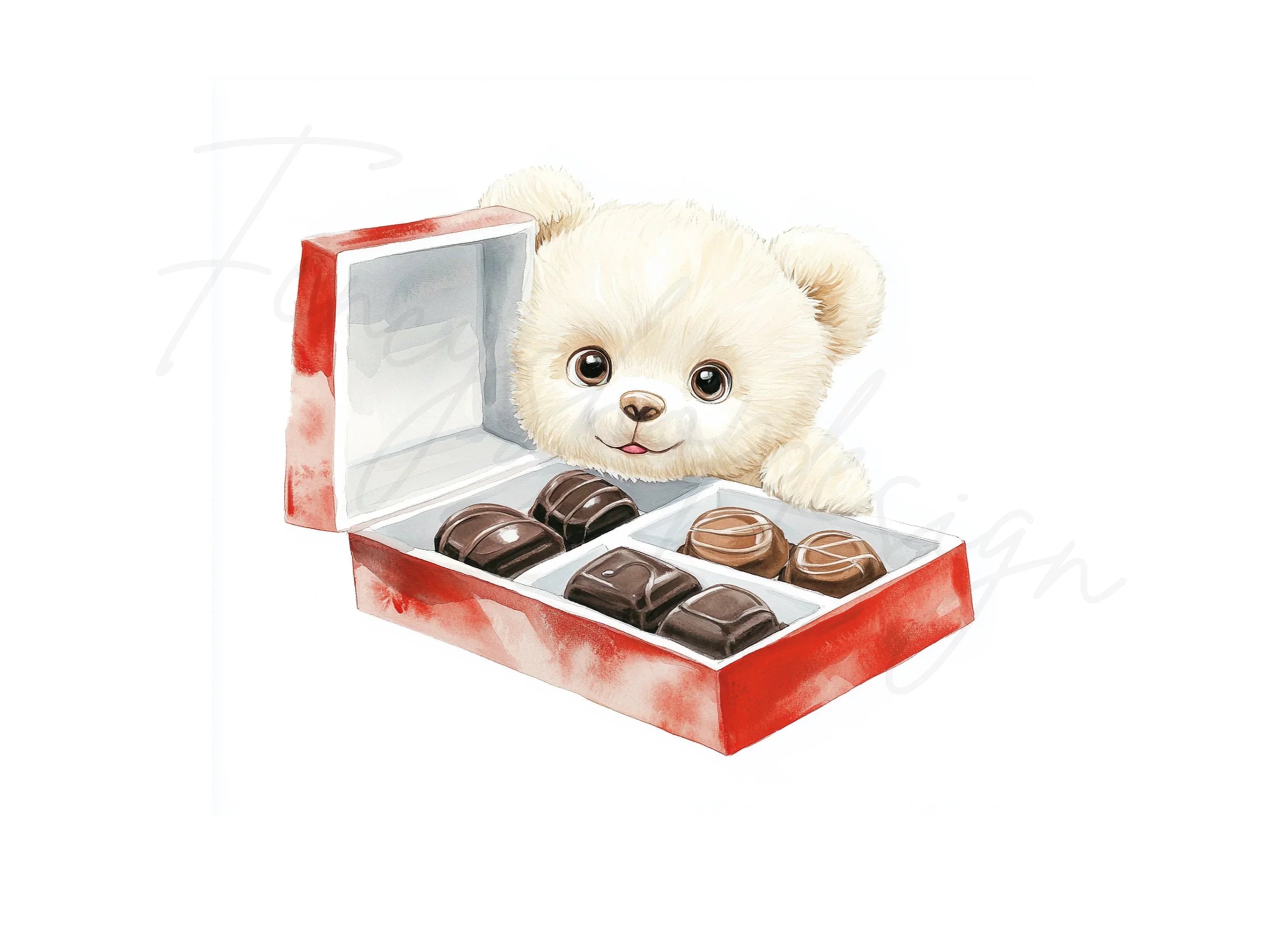 White Teddy Bear with Chocolate Box Clipart Bundle