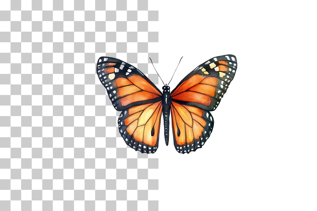 Monarch Butterfly Clipart Bundle
