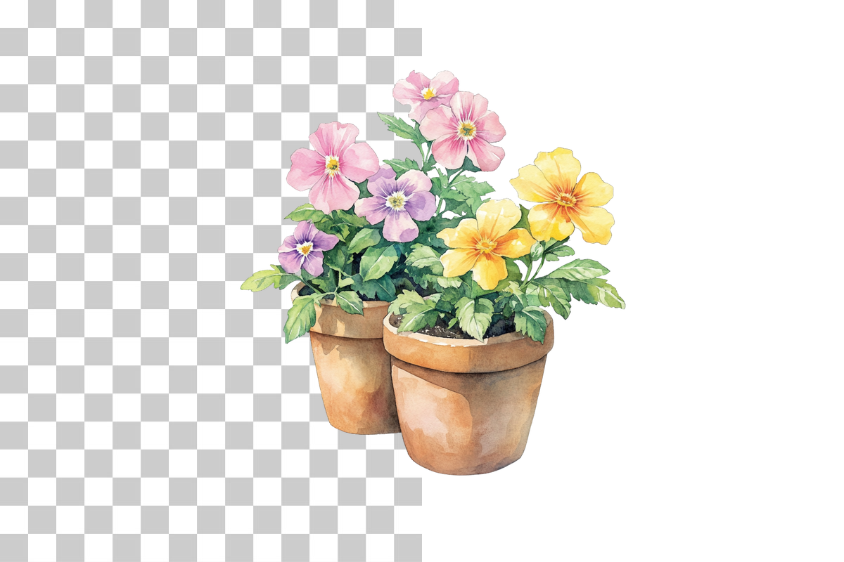 Potted Wildflowers in Terracotta Pots Clipart Bundle