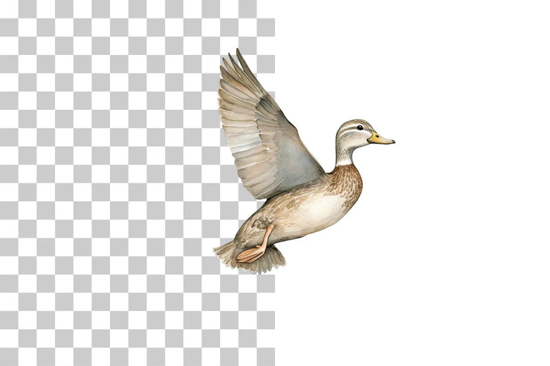 Flying Duck Wildlife Scene Clipart Bundle - CraftNest - Digital Crafting and Art
