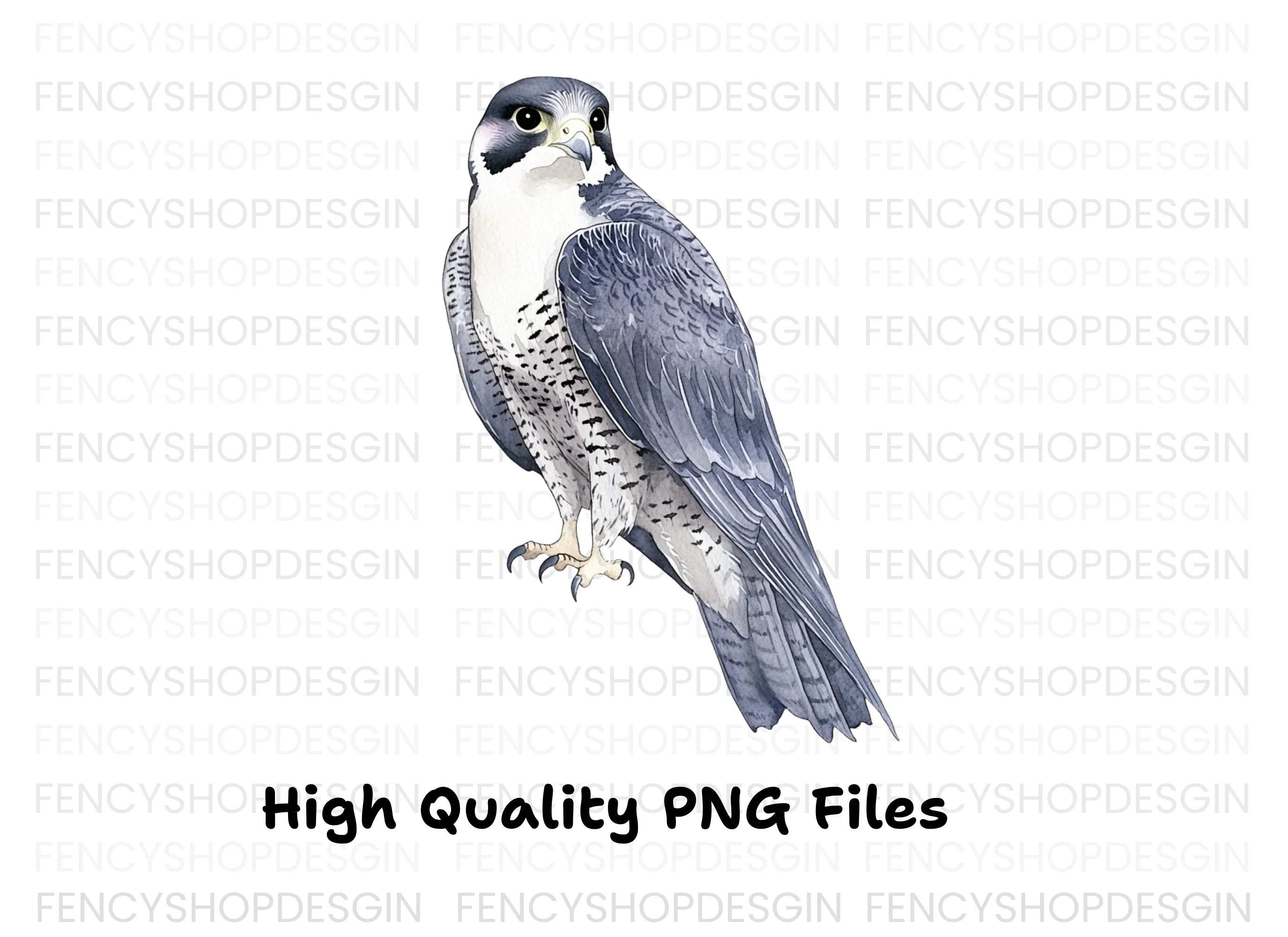 Peregrine Falcon Clipart Bundle