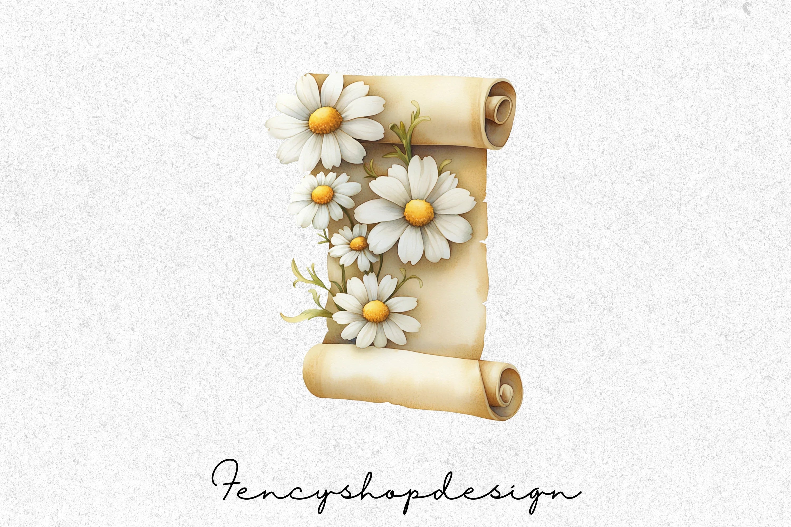 Elegant Daisy Scroll Clipart Bundle