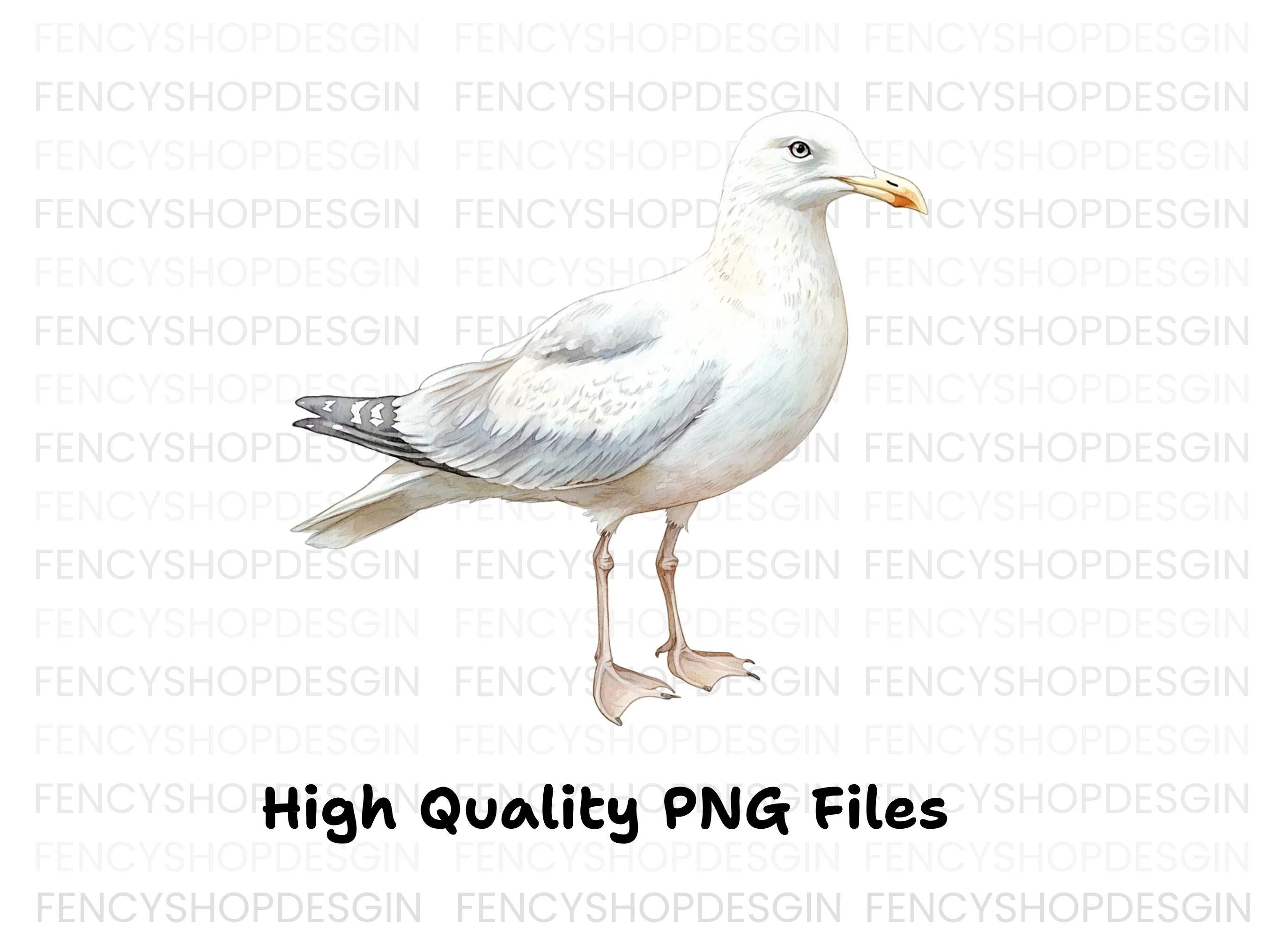 Realistic Seagull Clipart Bundle