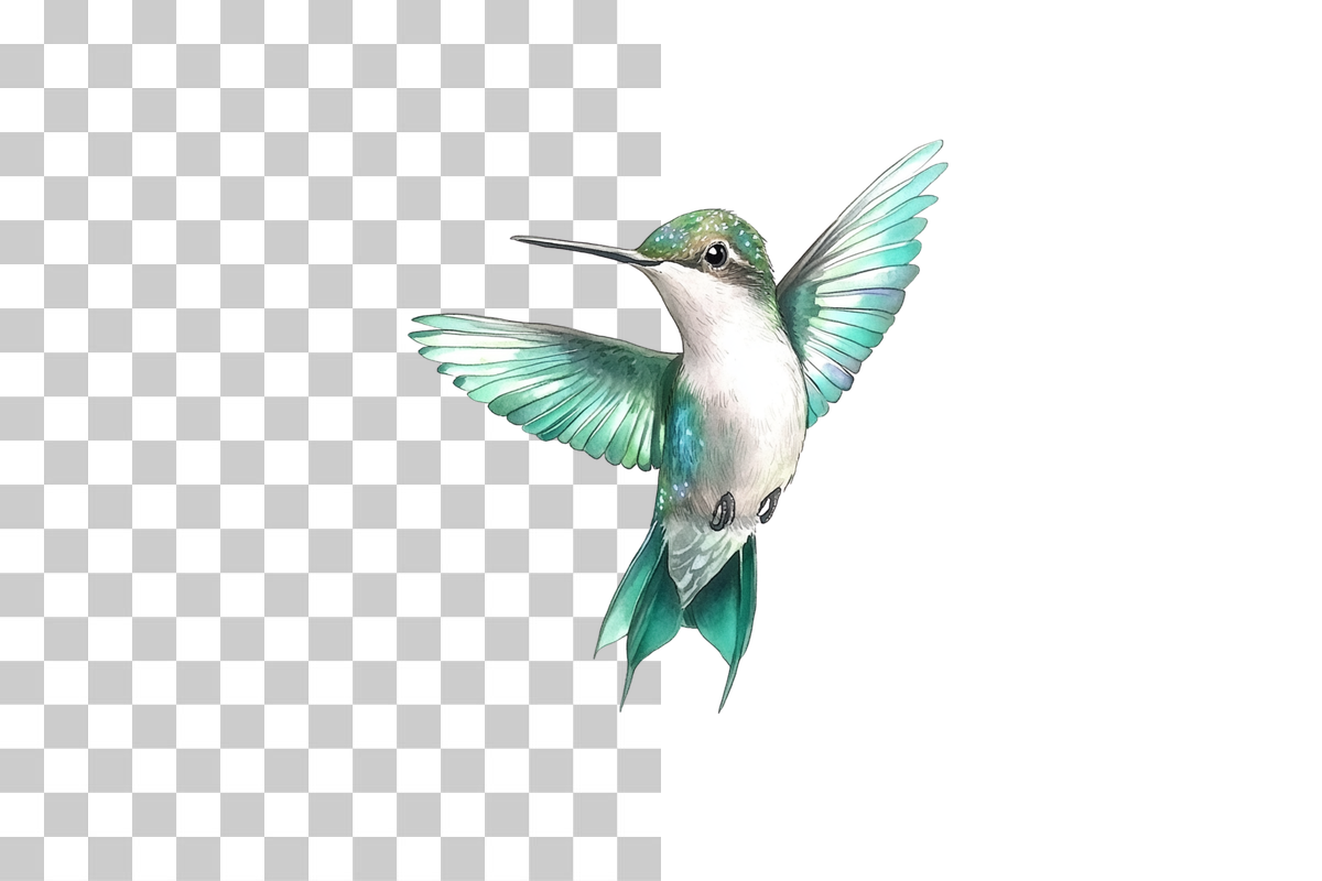 Hummingbird In Flight Clipart Bundle