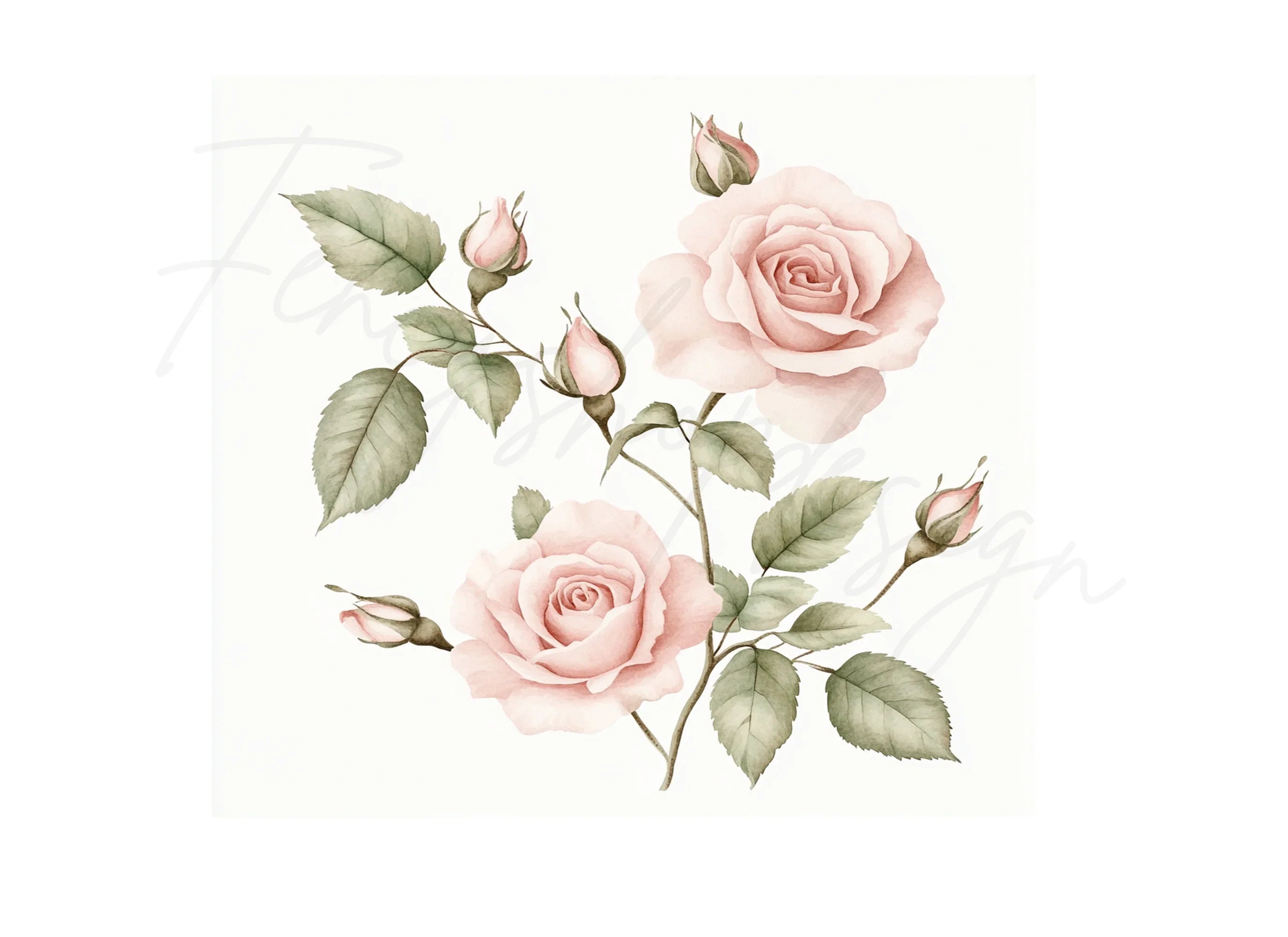 Elegant Pink Roses Clipart Bundle
