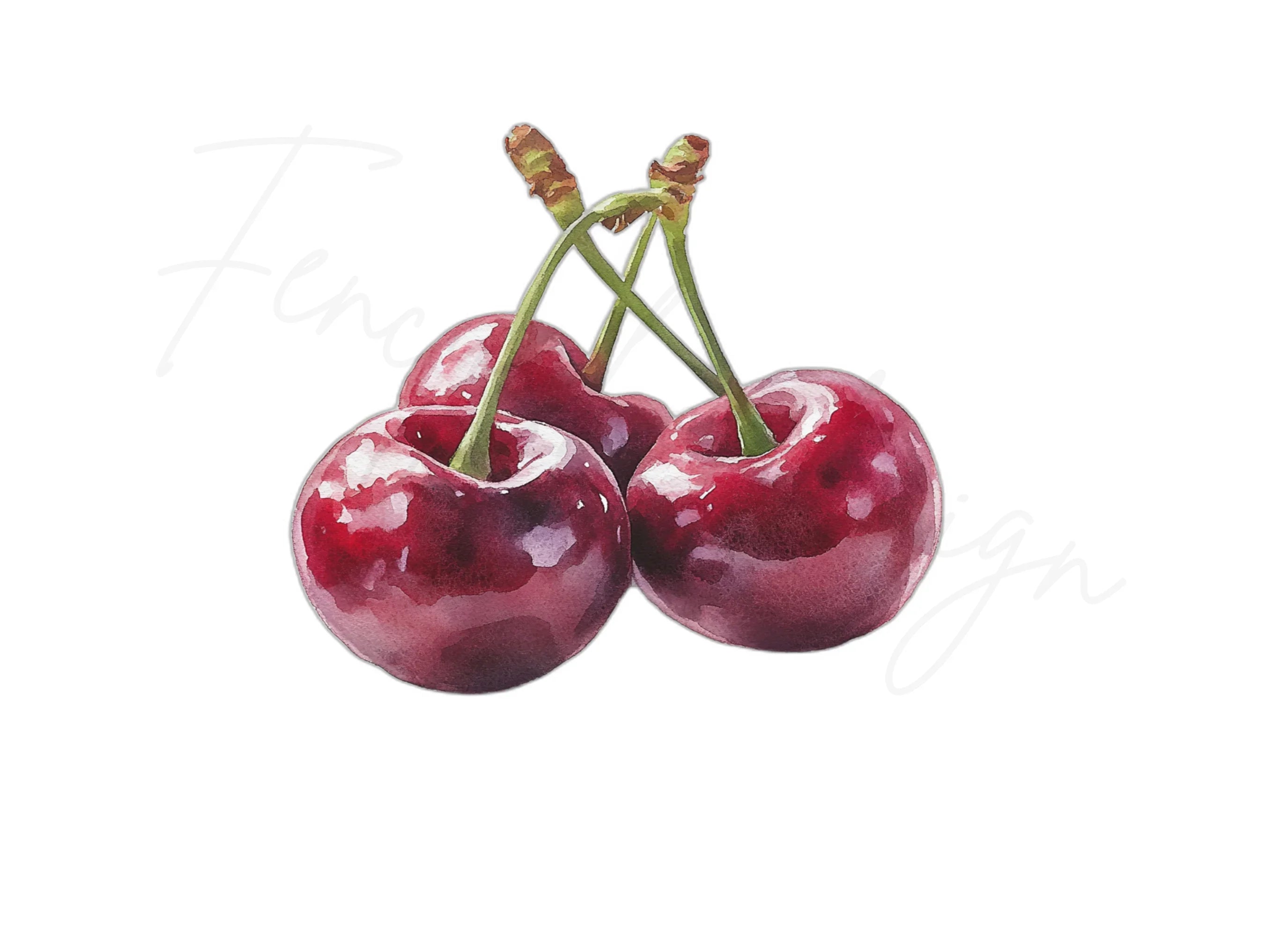 Vibrant Cherry Clipart Bundle