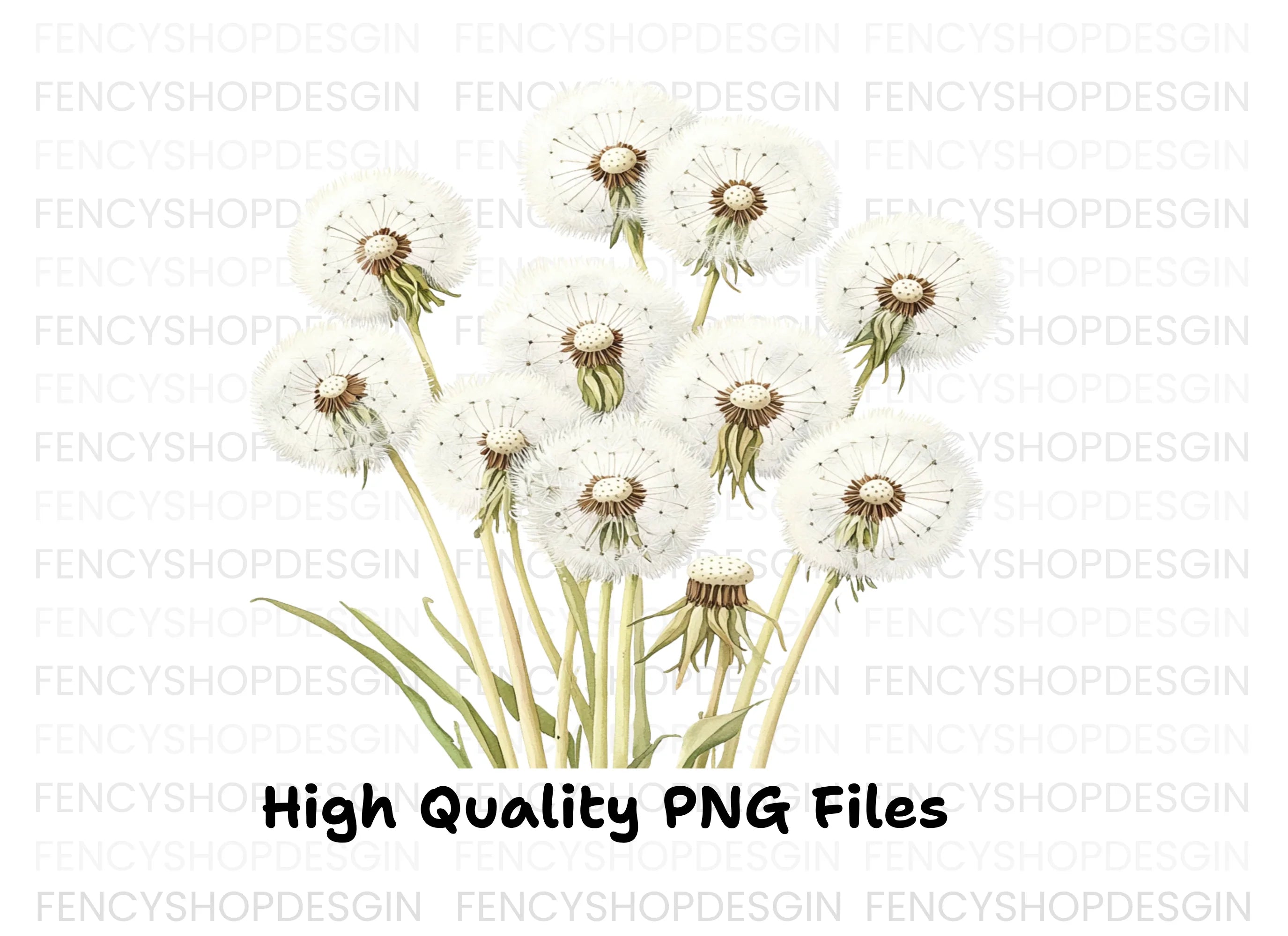 Dandelion Seed Head Clipart Bundle