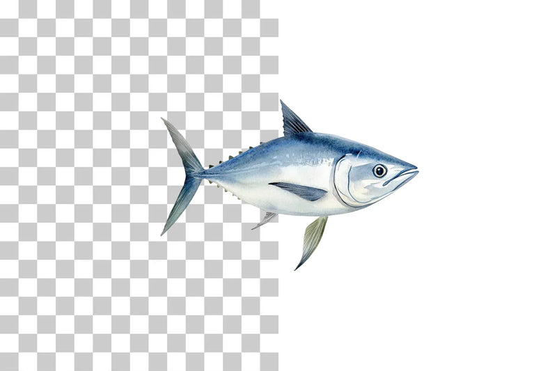 Tuna Fish Marine Life Clipart Bundle - CraftNest - Digital Crafting and Art
