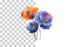 Multicolour Poppy Clipart Bundle - CraftNest - Digital Crafting and Art
