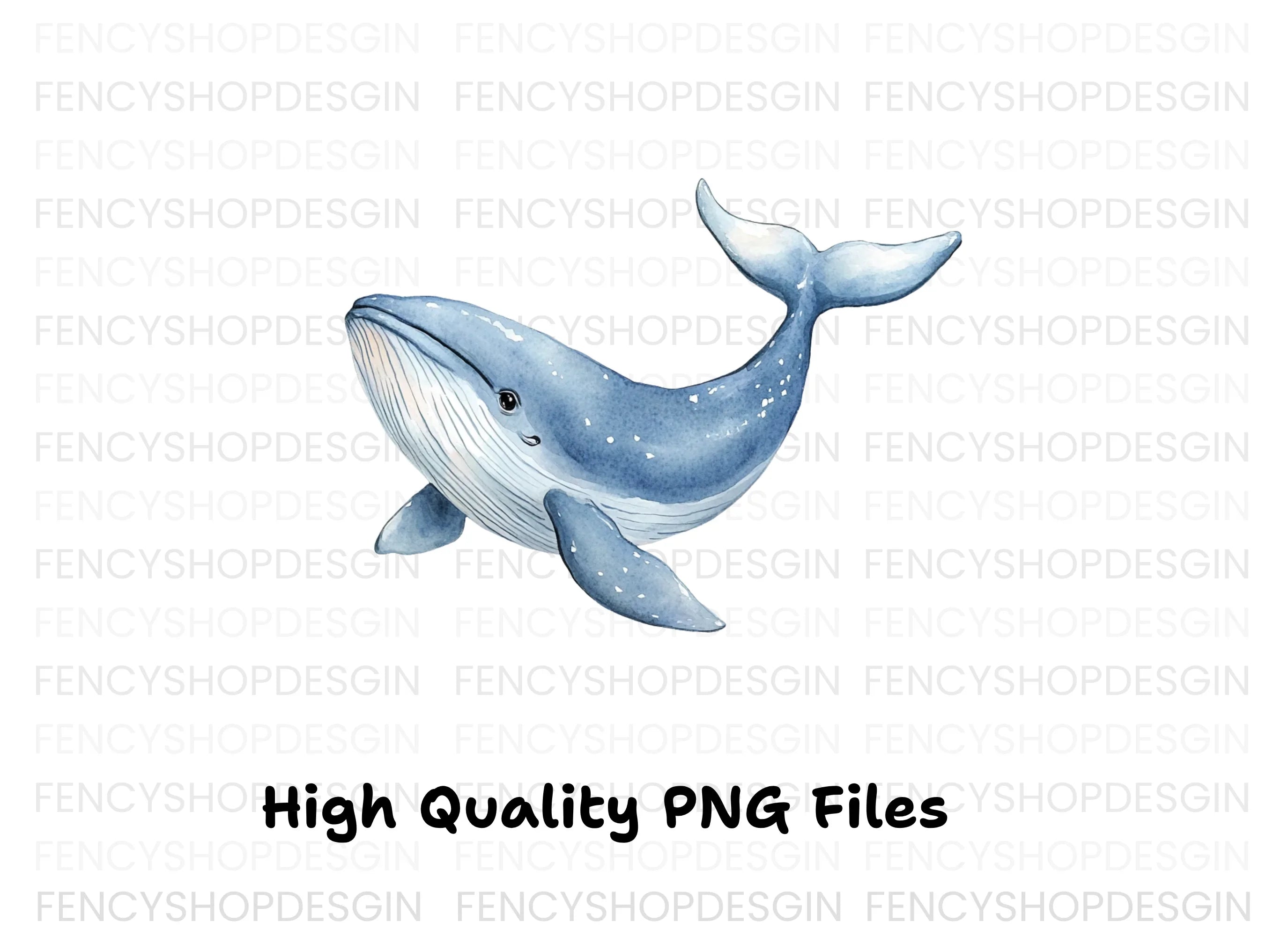 Cute Whale Clipart Bundle