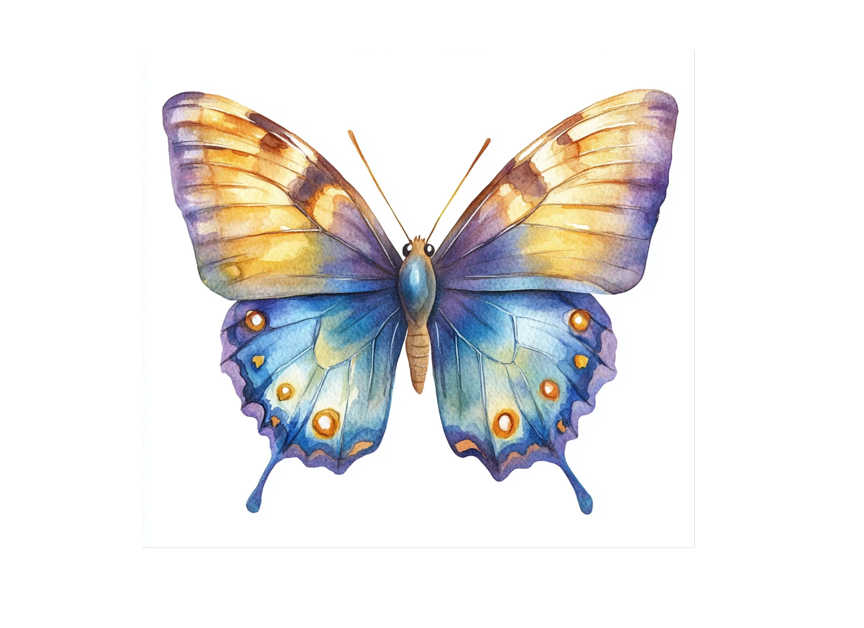 Elegant Blue and Gold Butterfly Clipart Bundle