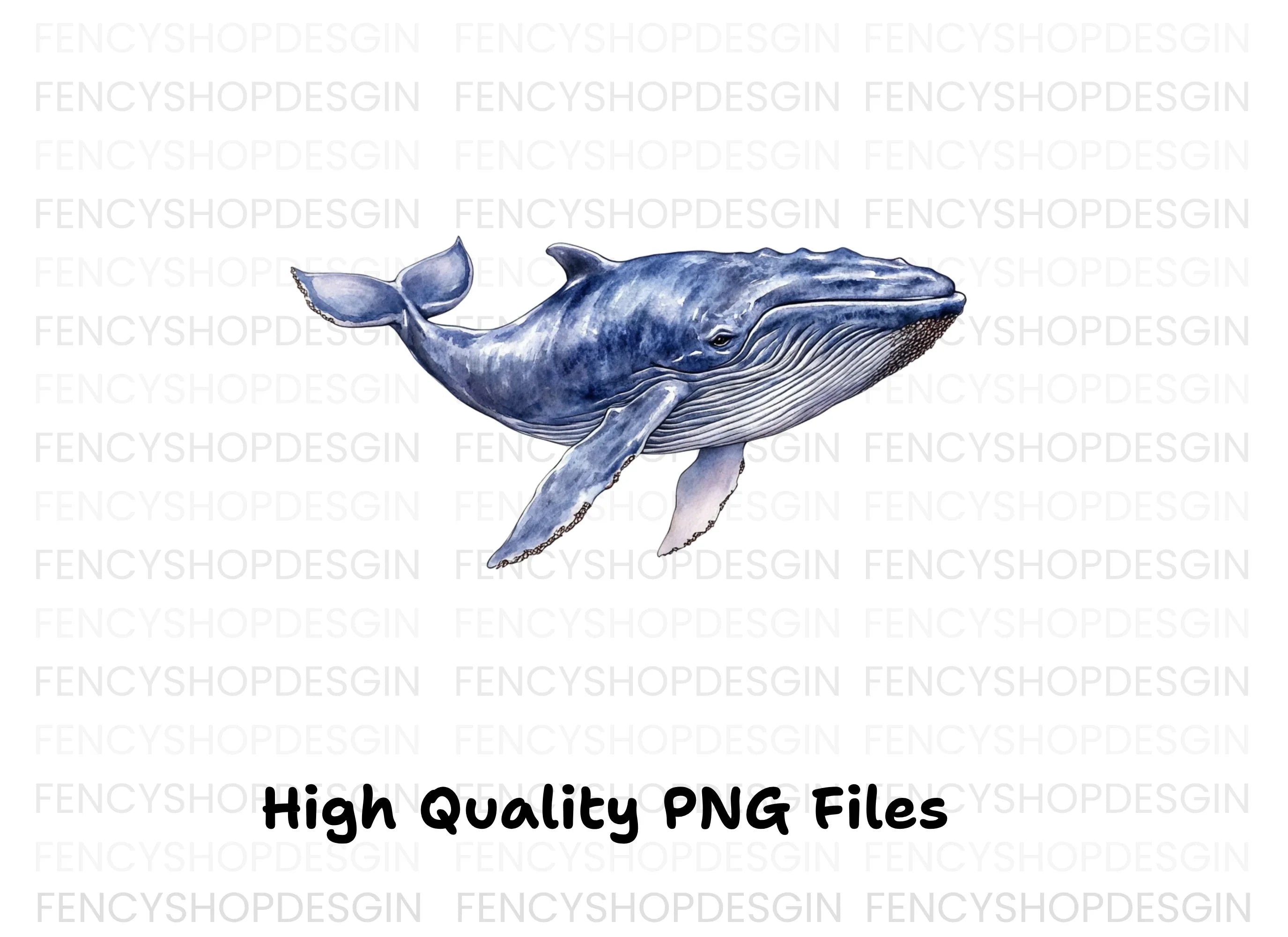 Whale Clipart Bundle for Creative Projects