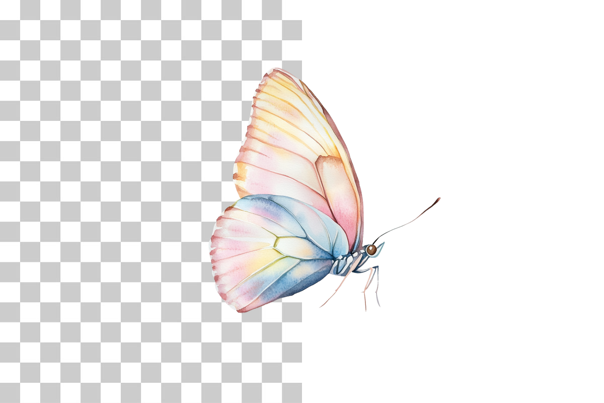 Colorful Butterfly Clipart Bundle