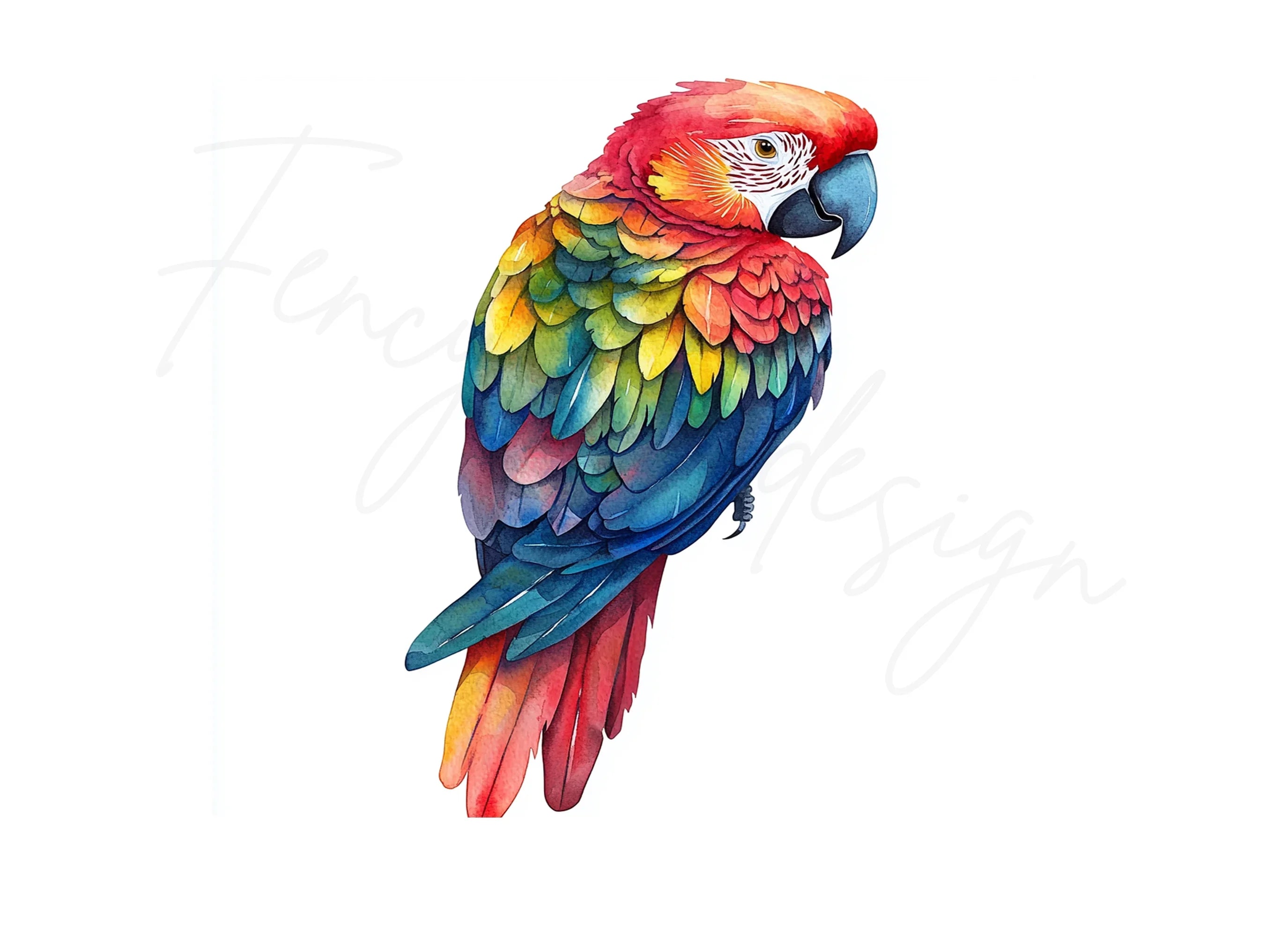 Vibrant Macaw Clipart Bundle