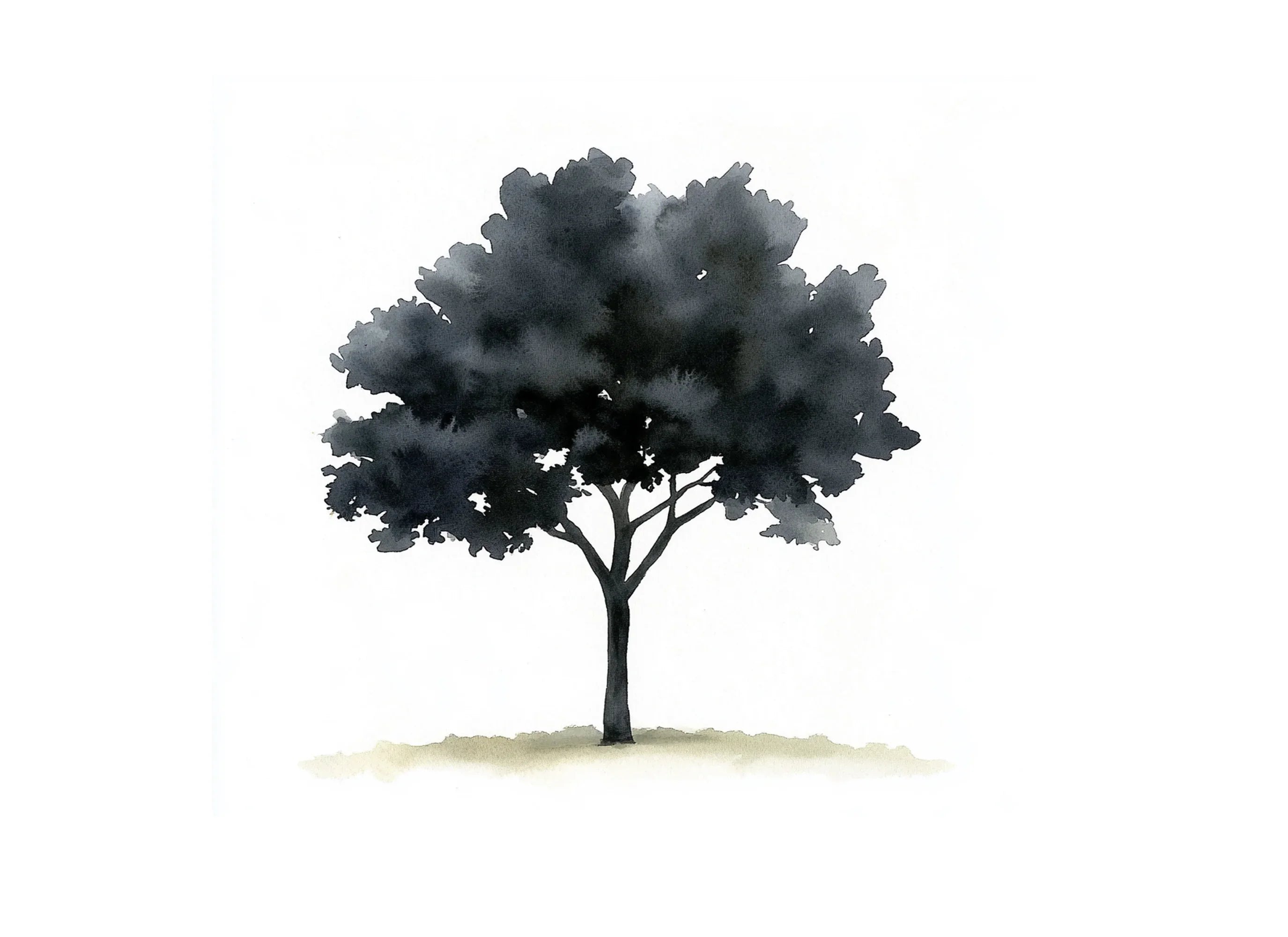 Tree Silhouettes Clipart Bundle
