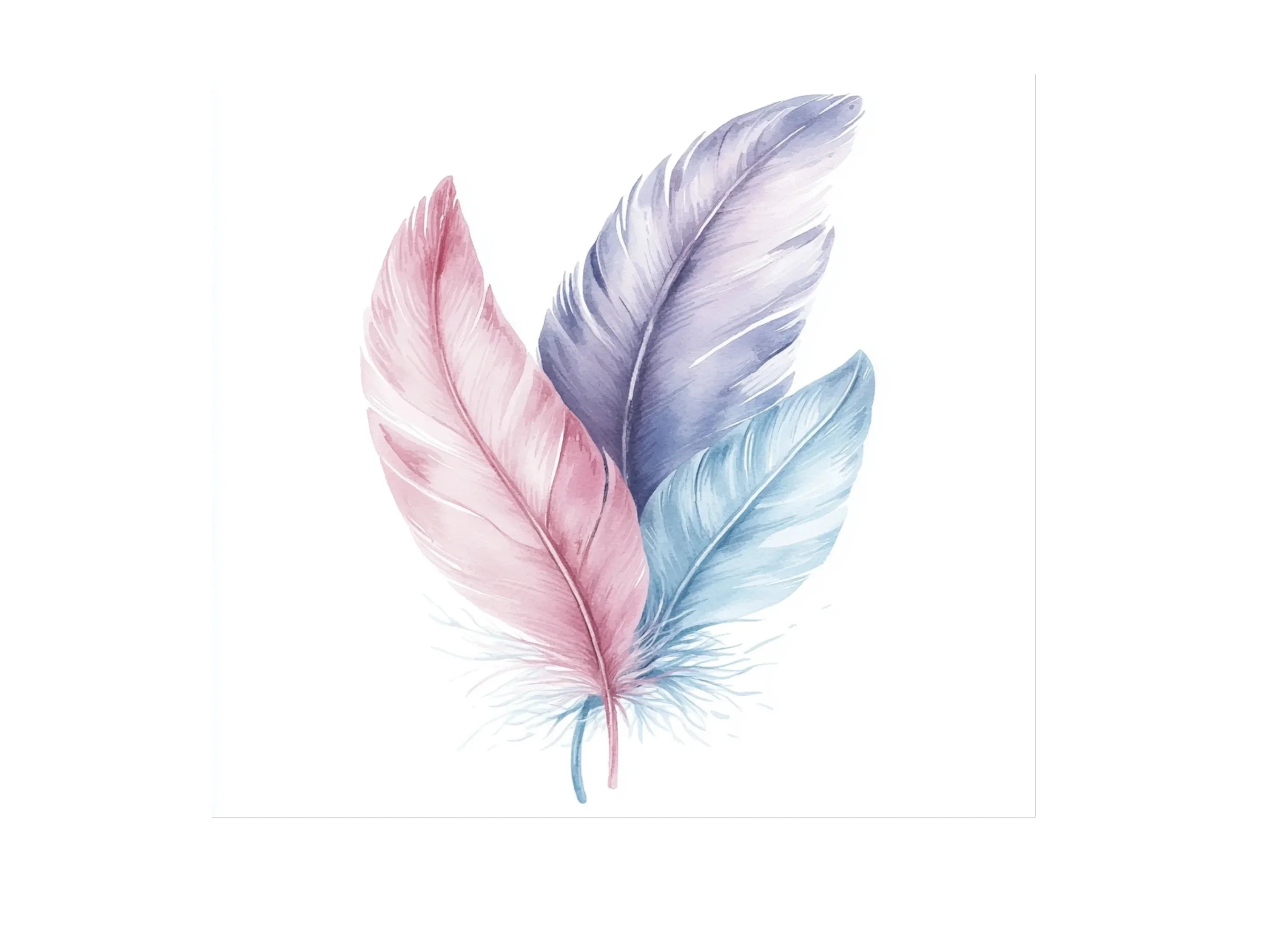 Soft Feather Arrangements Clipart Bundle