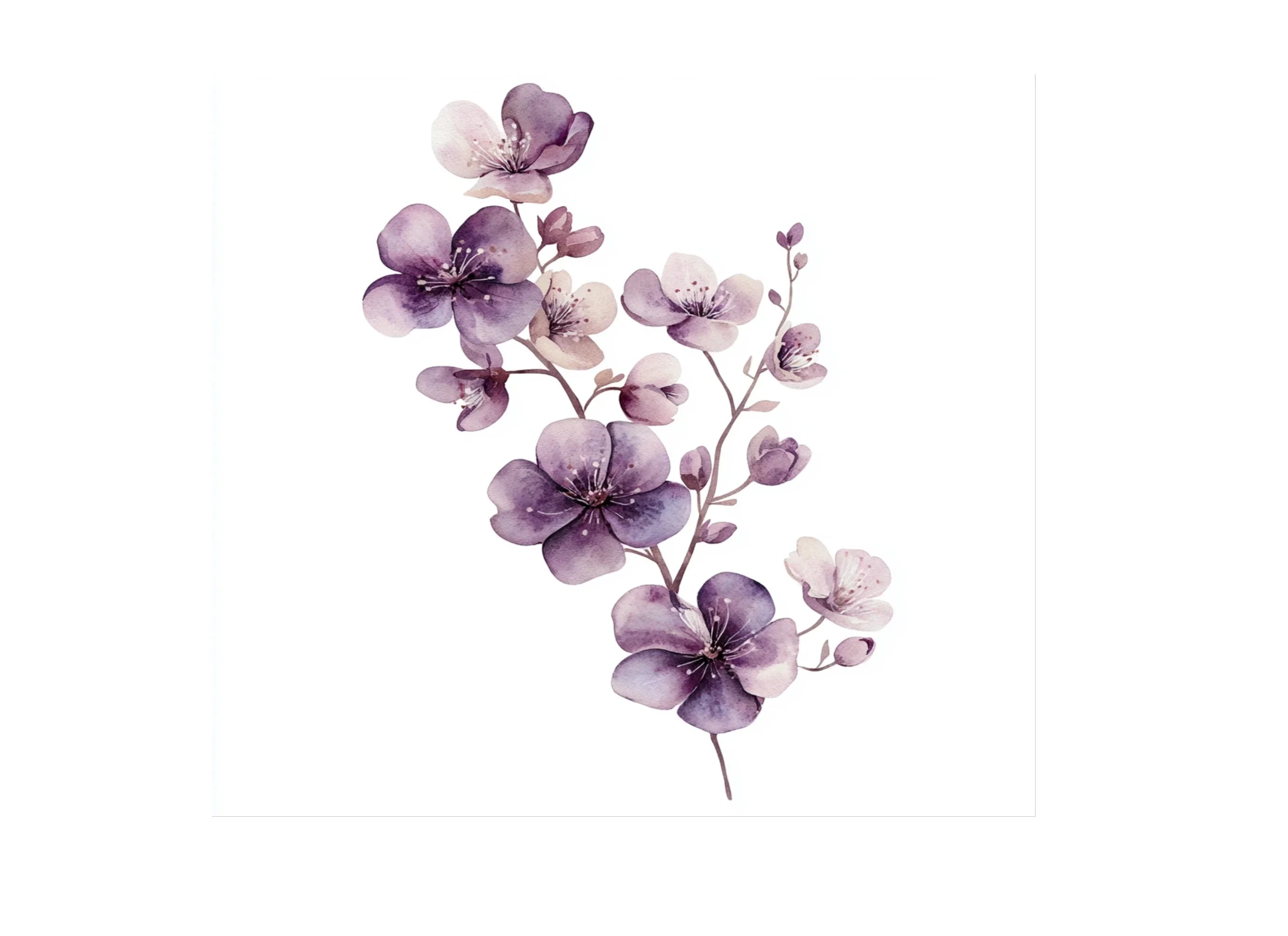 Purple Cherry Blossom Clipart Bundle