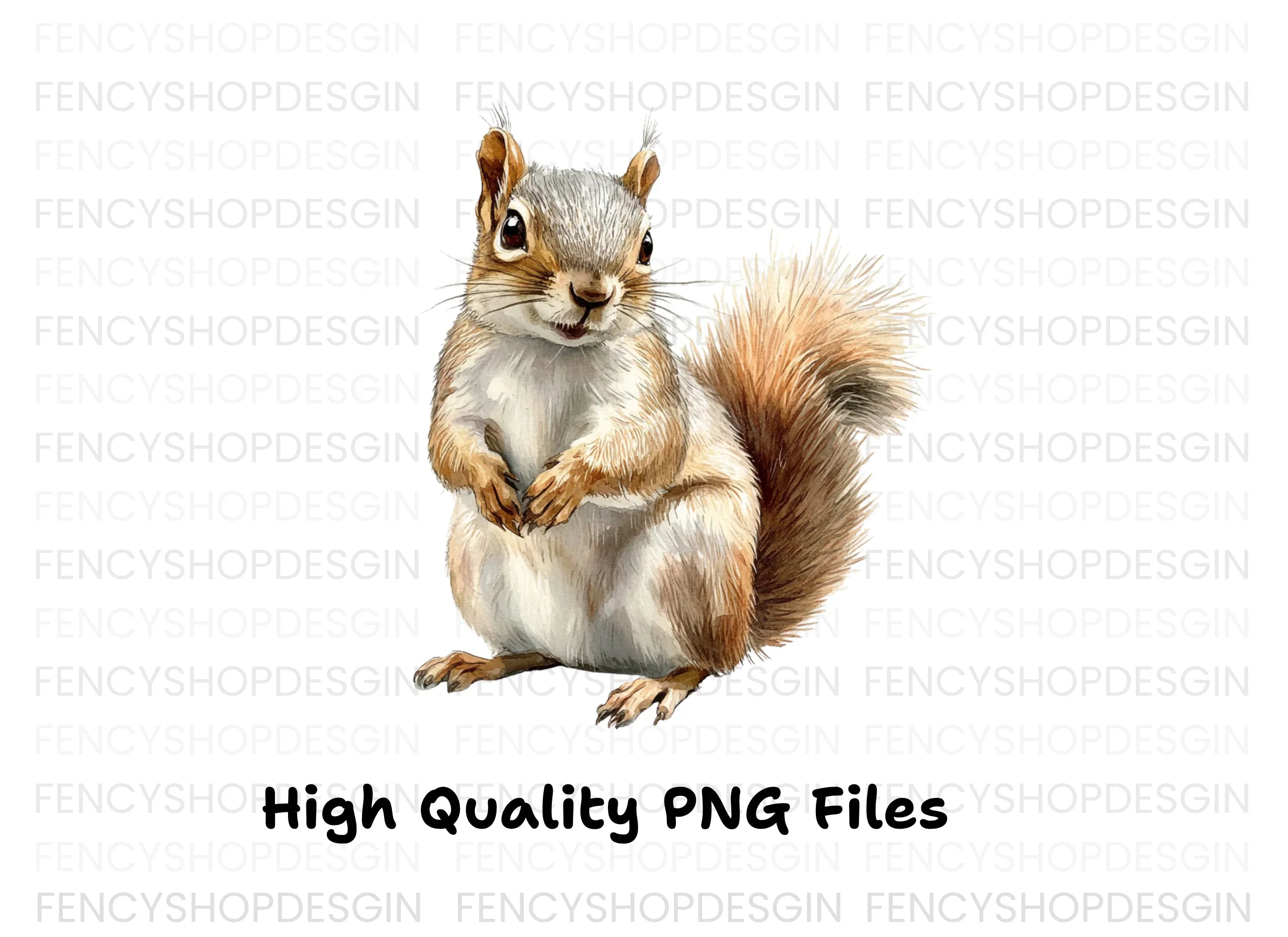 Cute Squirrel Animal Clipart Bundle