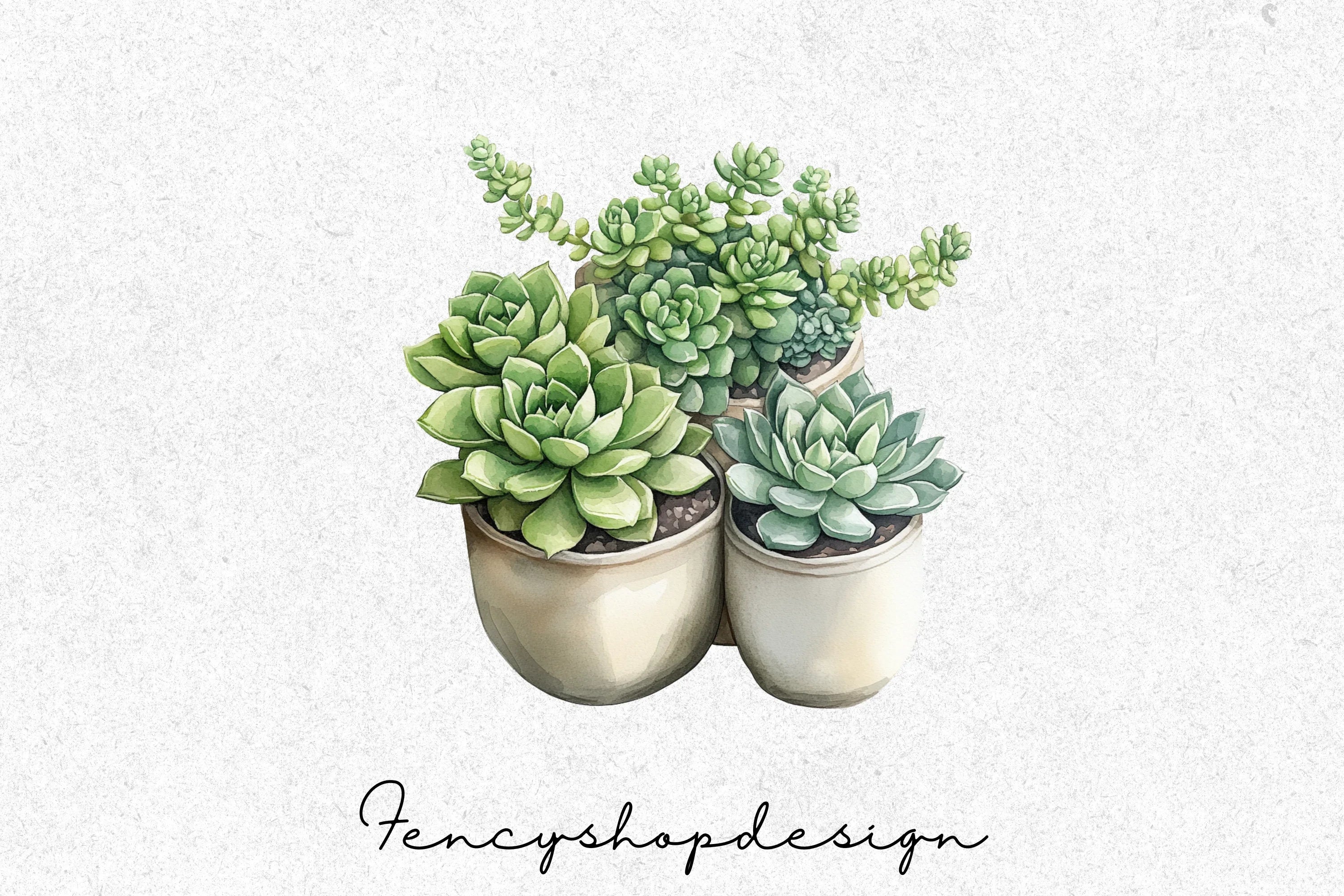 Succulent Potted Plants Clipart Bundle