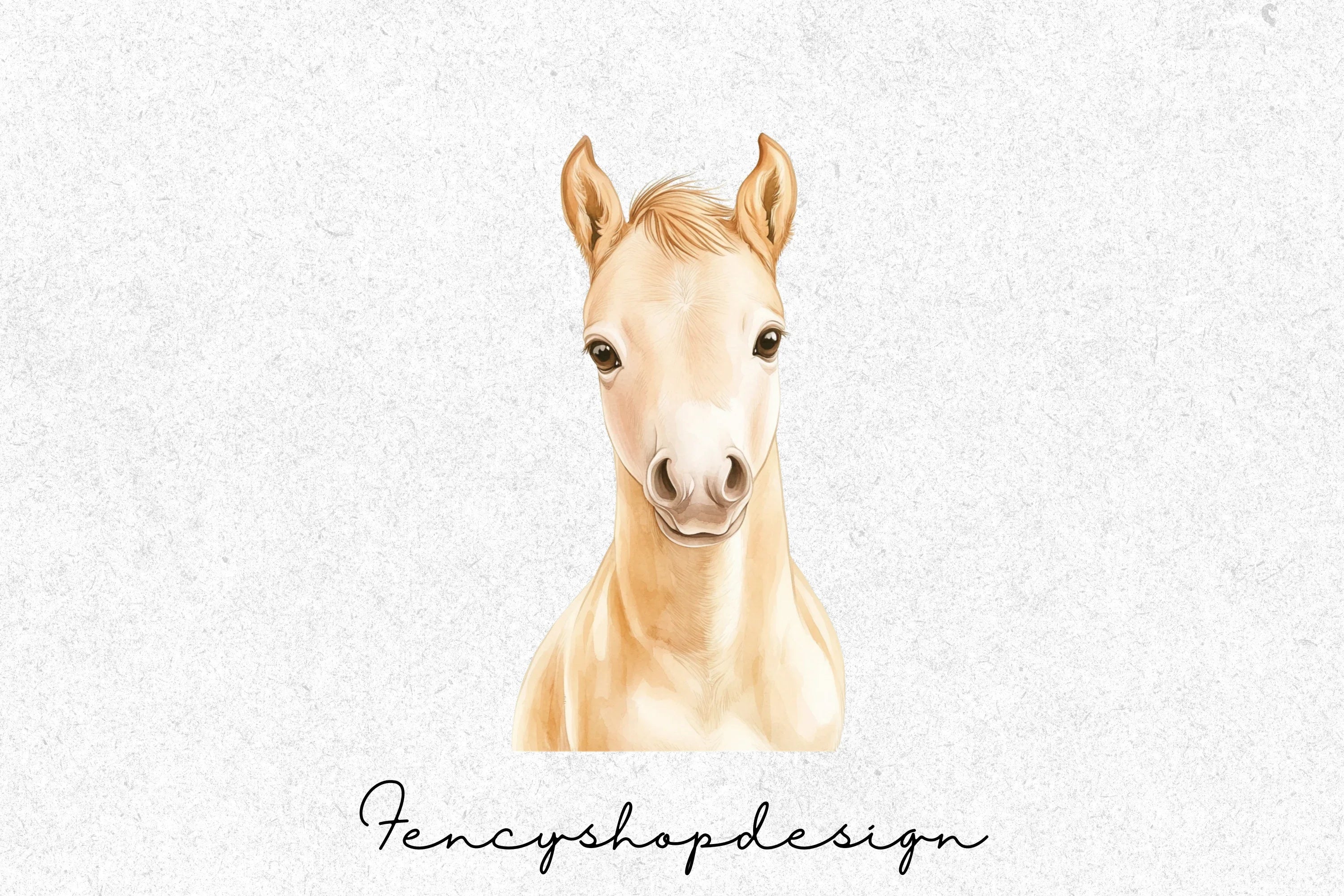 Cute Baby Horse Foal Clipart Bundle