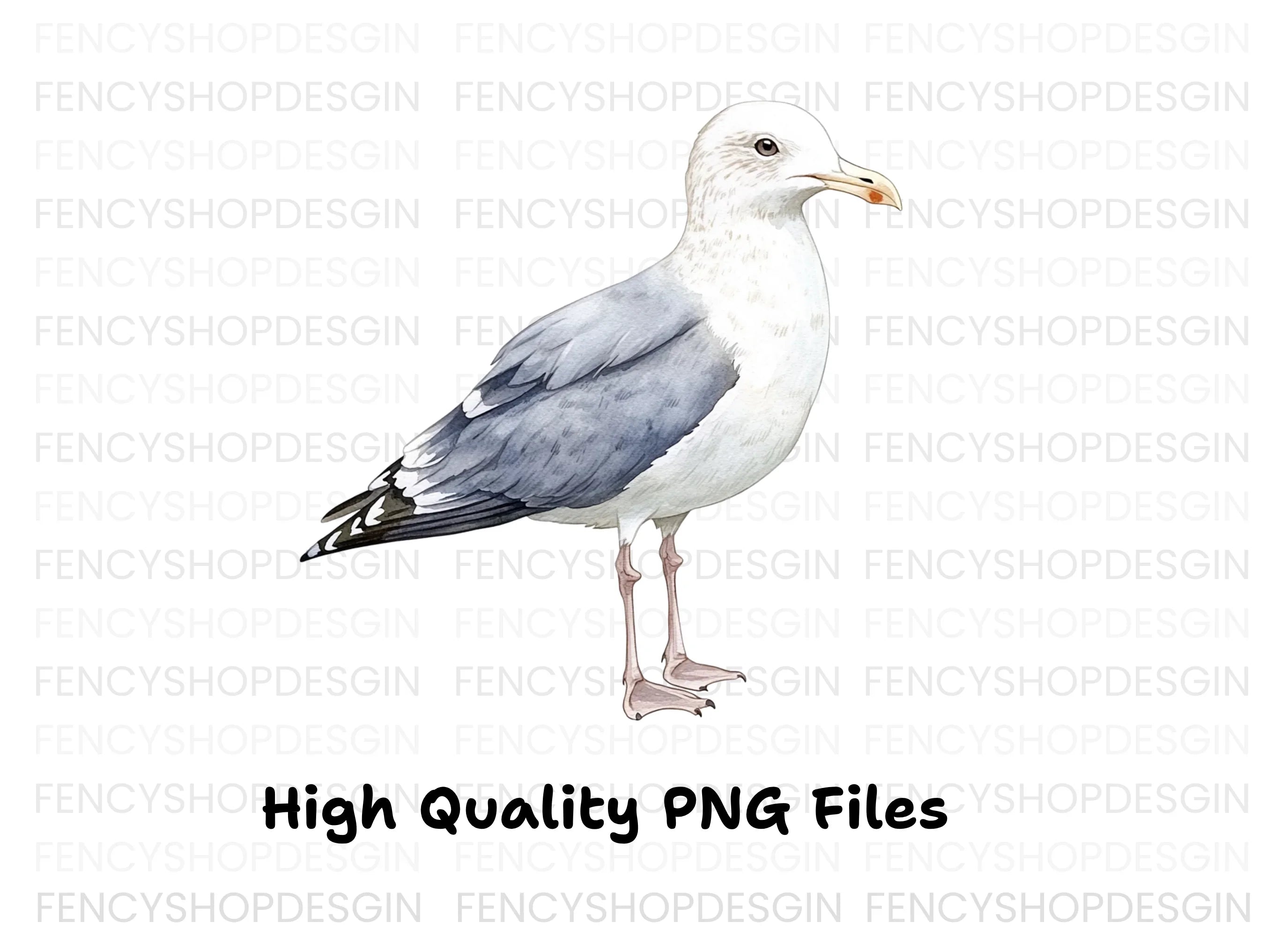 Elegant Seagull Bird Clipart Bundle