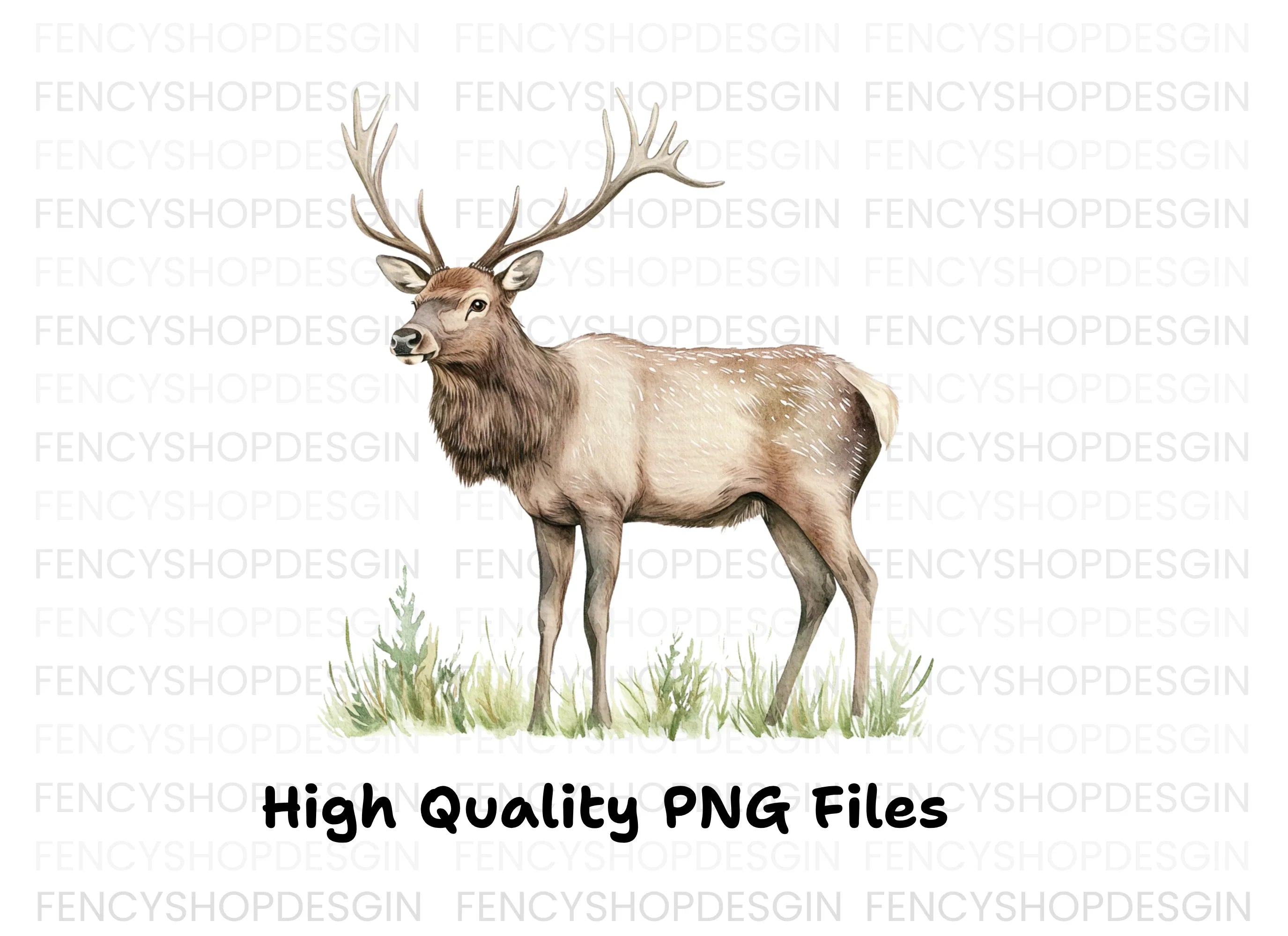Graceful Elk Standing in Grass Clipart Bundle