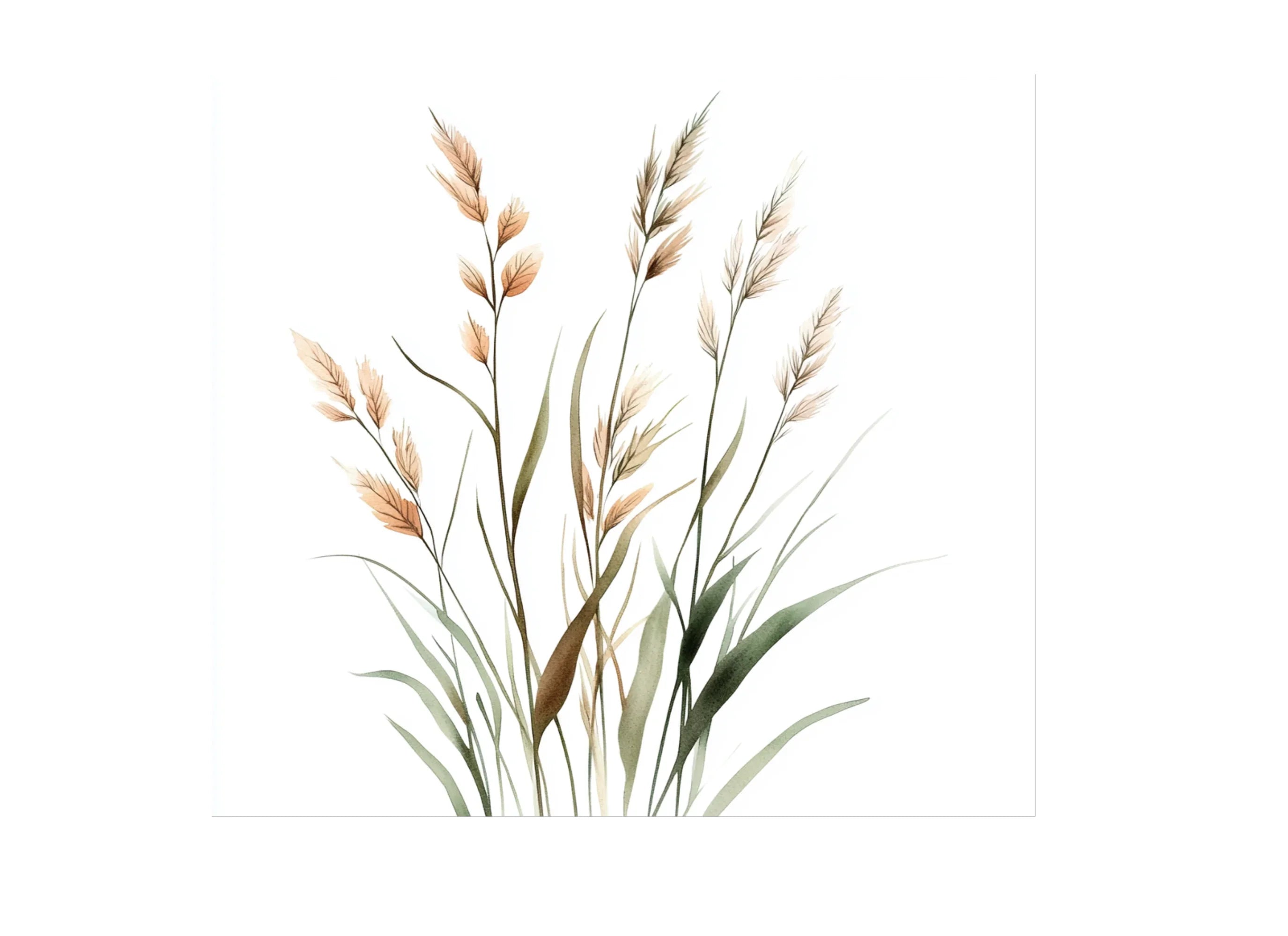 Wild Grass Clipart Bundle