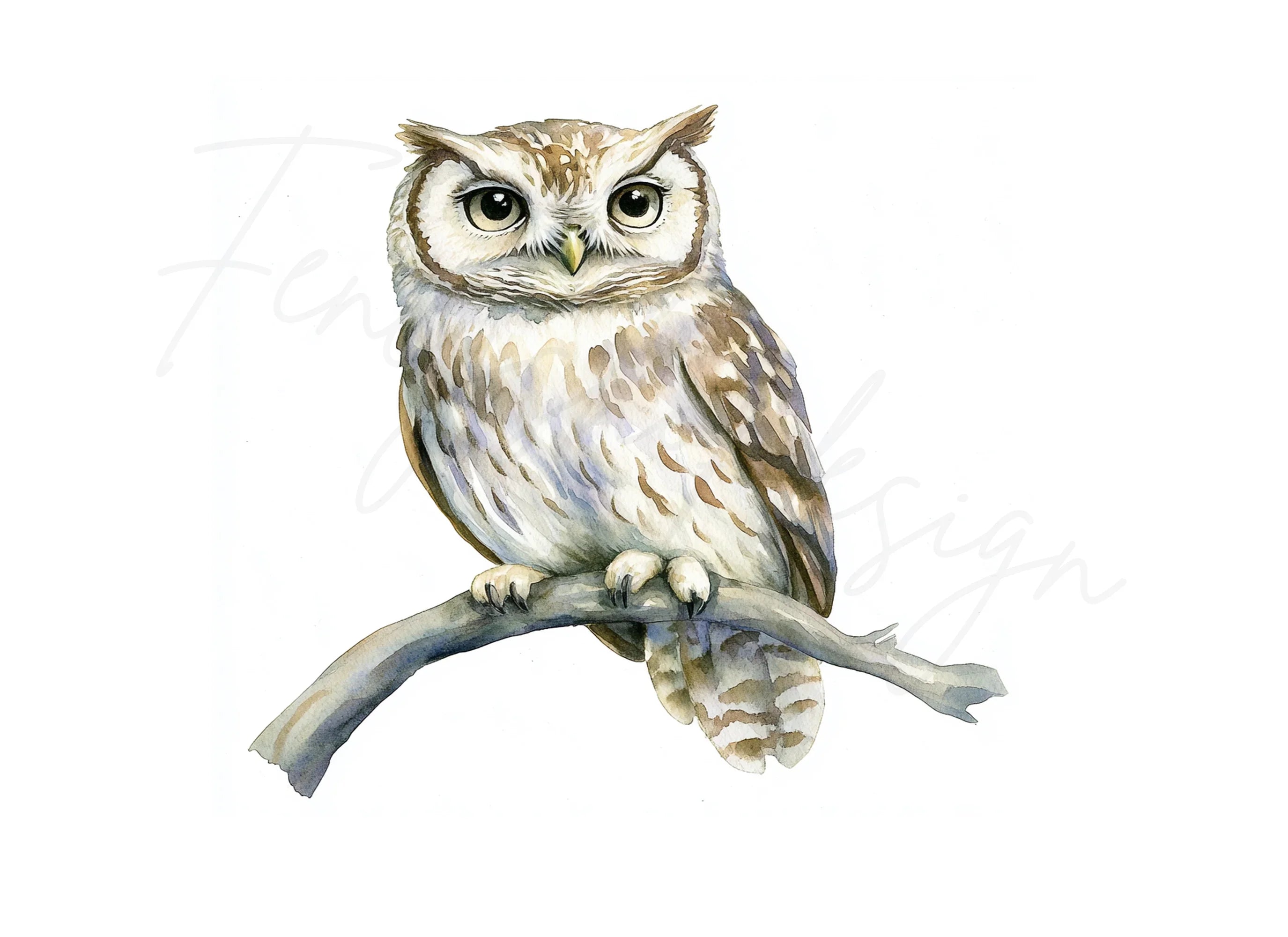 Cute Owl on Branch Clipart Bundle