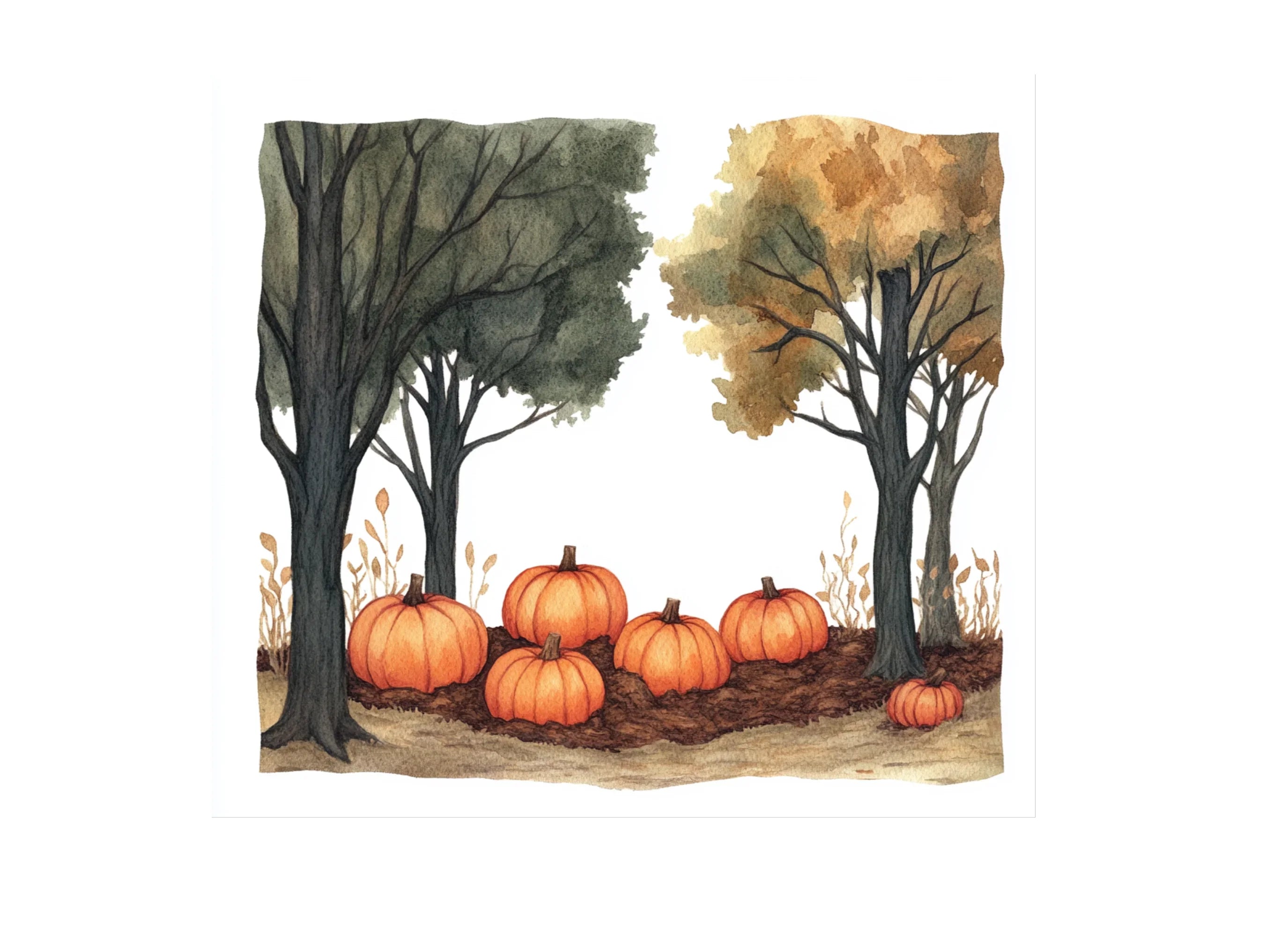 Autumn Pumpkin Patch Clipart Bundle