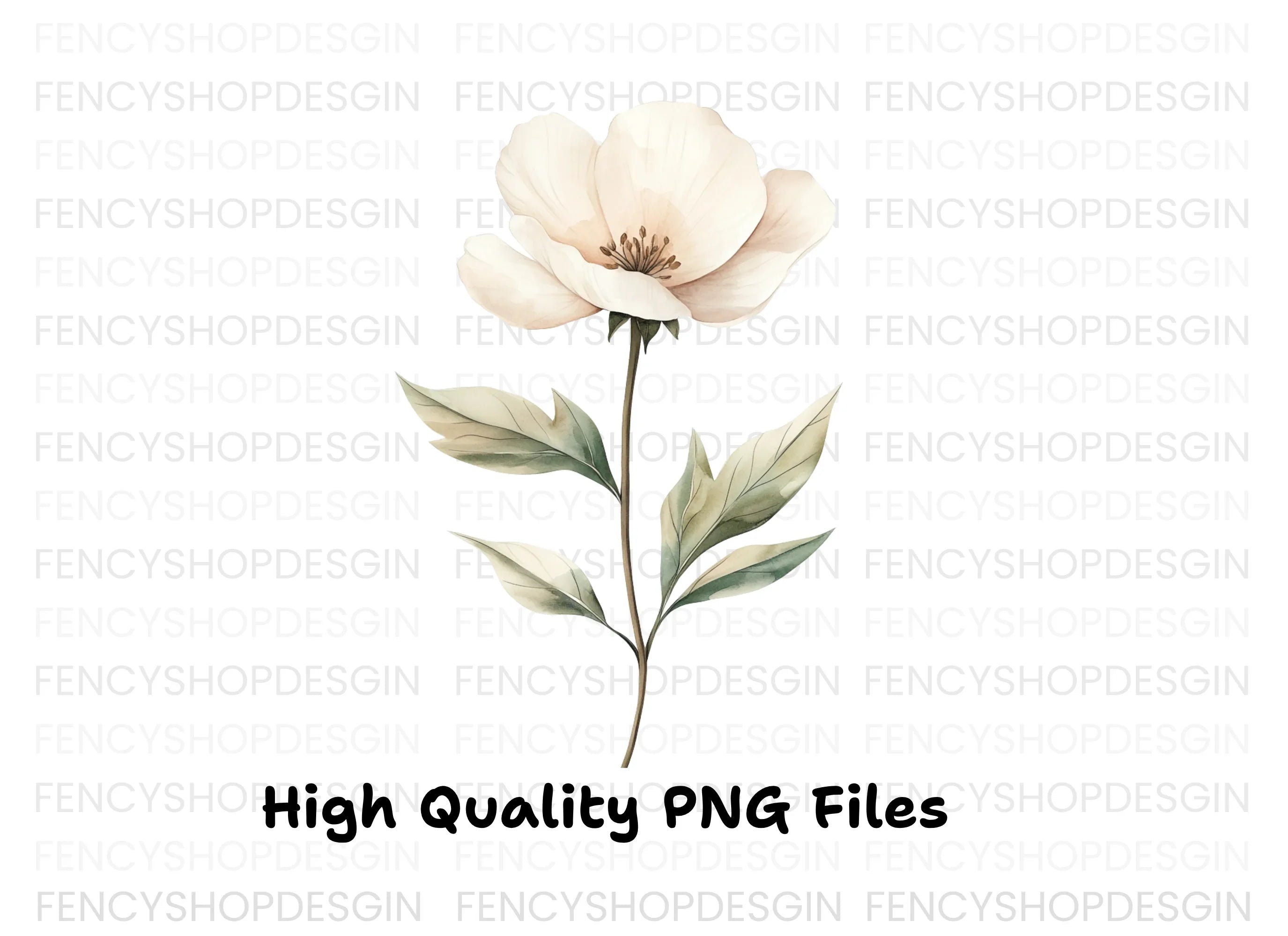 Elegant White Floral Clipart Bundle