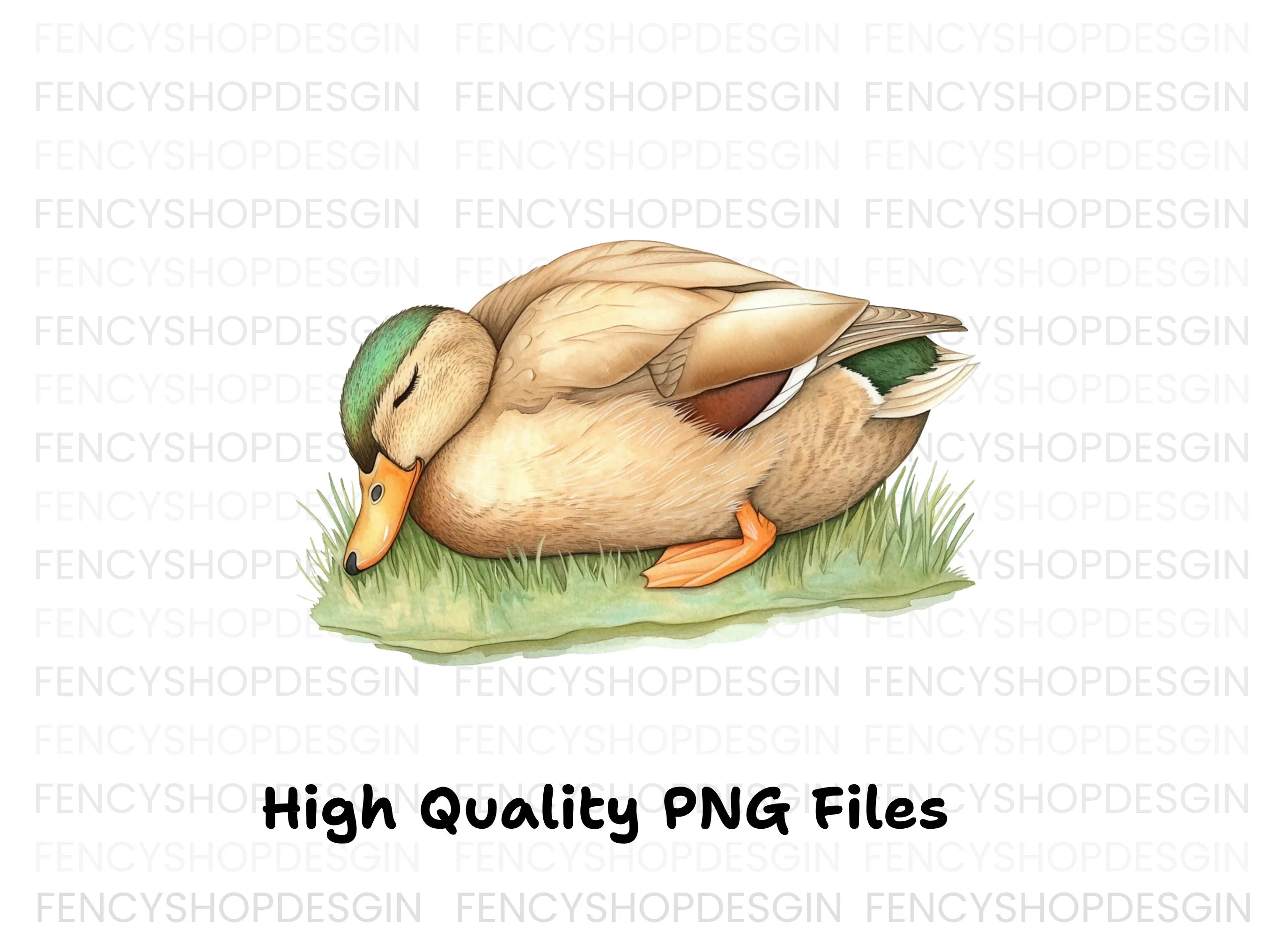 Sleeping Mallard Ducks Clipart Bundle