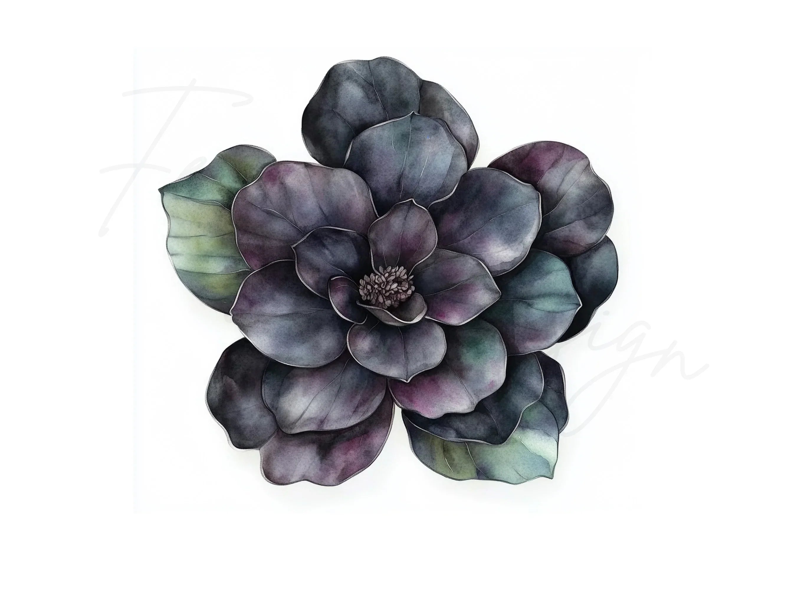Dark Floral Clipart Bundle