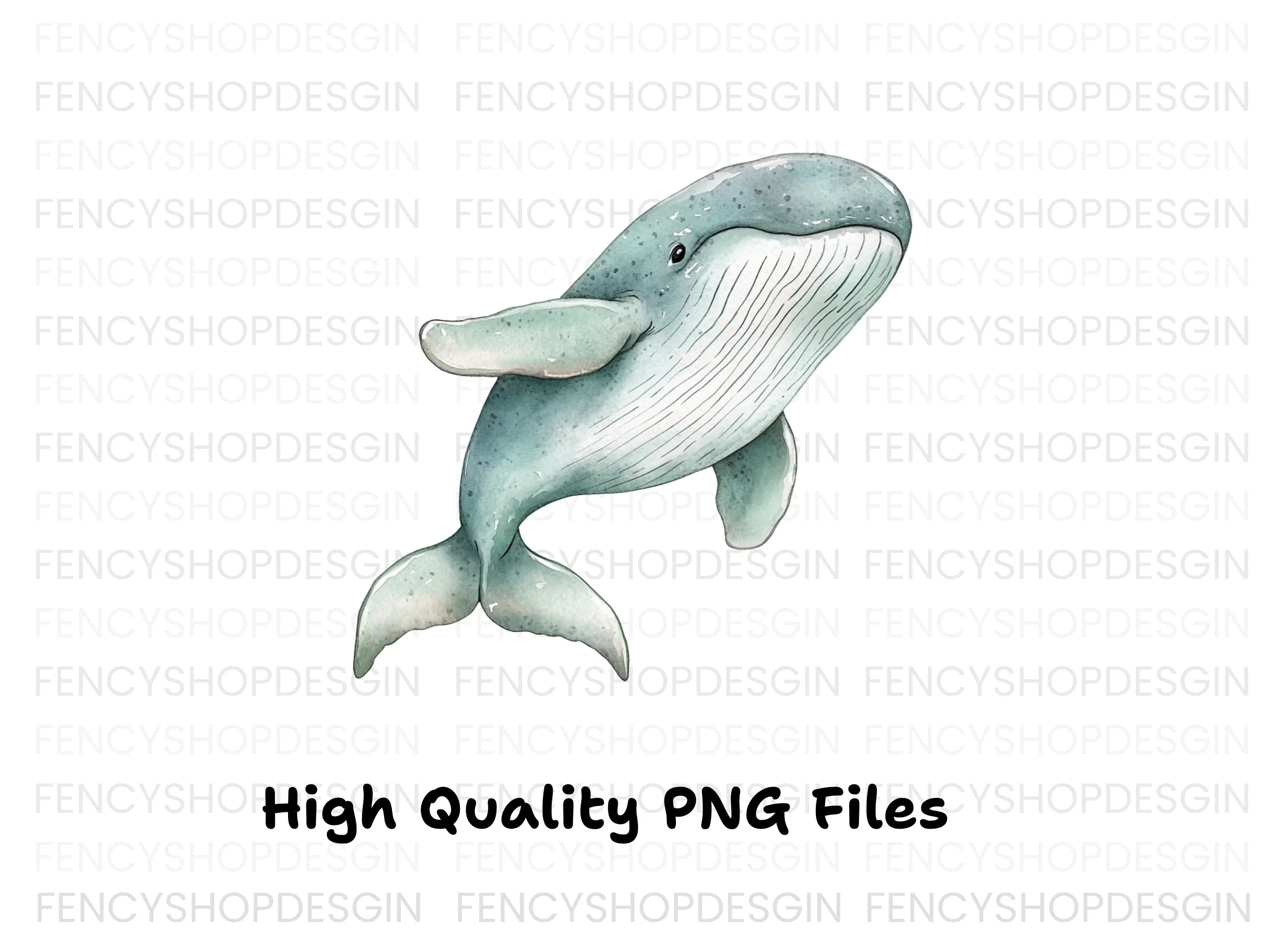 Cute Whale Clipart Bundle