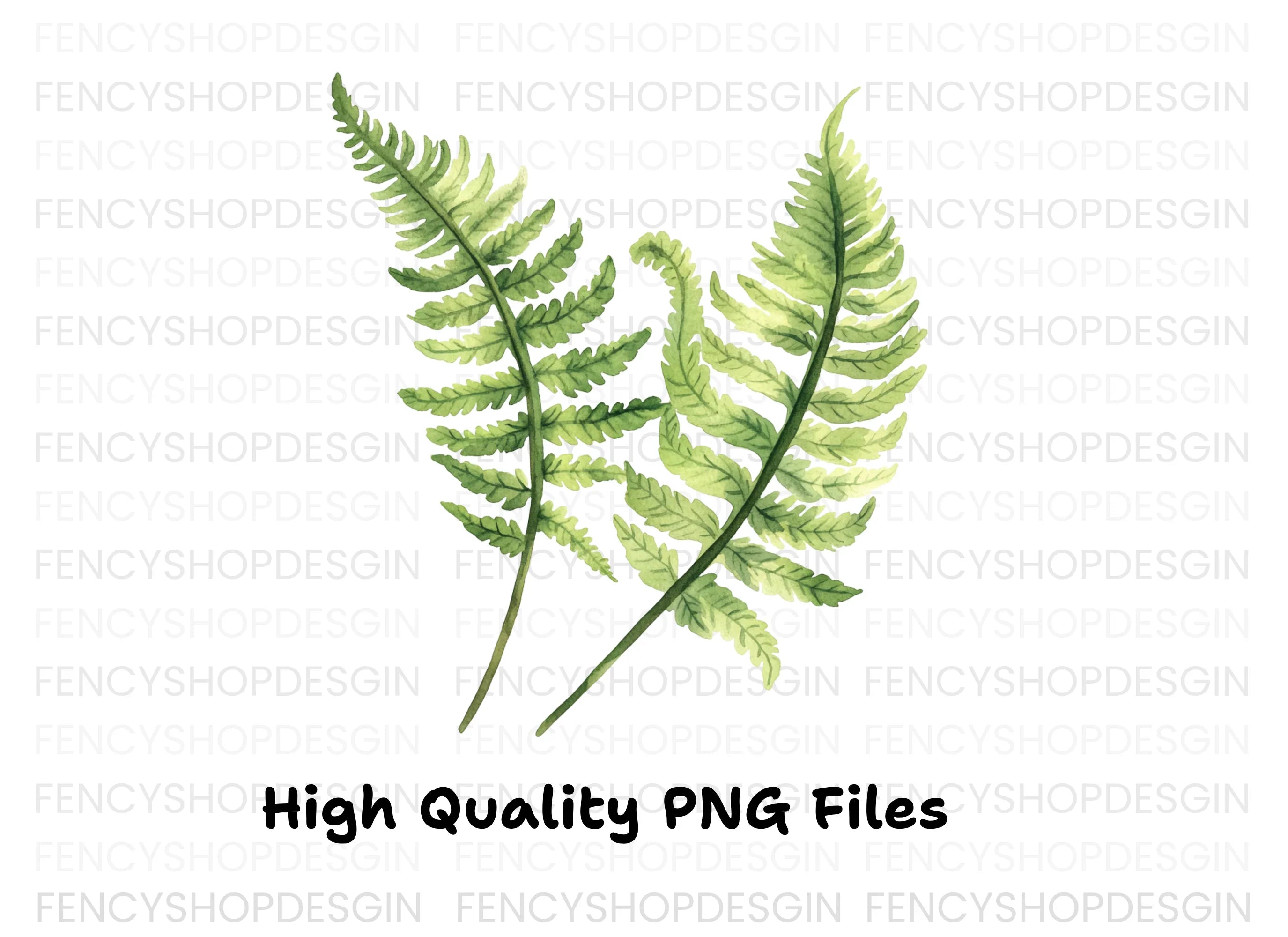 Fern Leaves Clipart Bundle