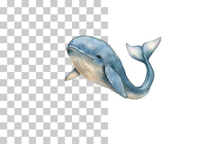 Nursery Baby Whale Clipart Bundle - CraftNest - Digital Crafting and Art