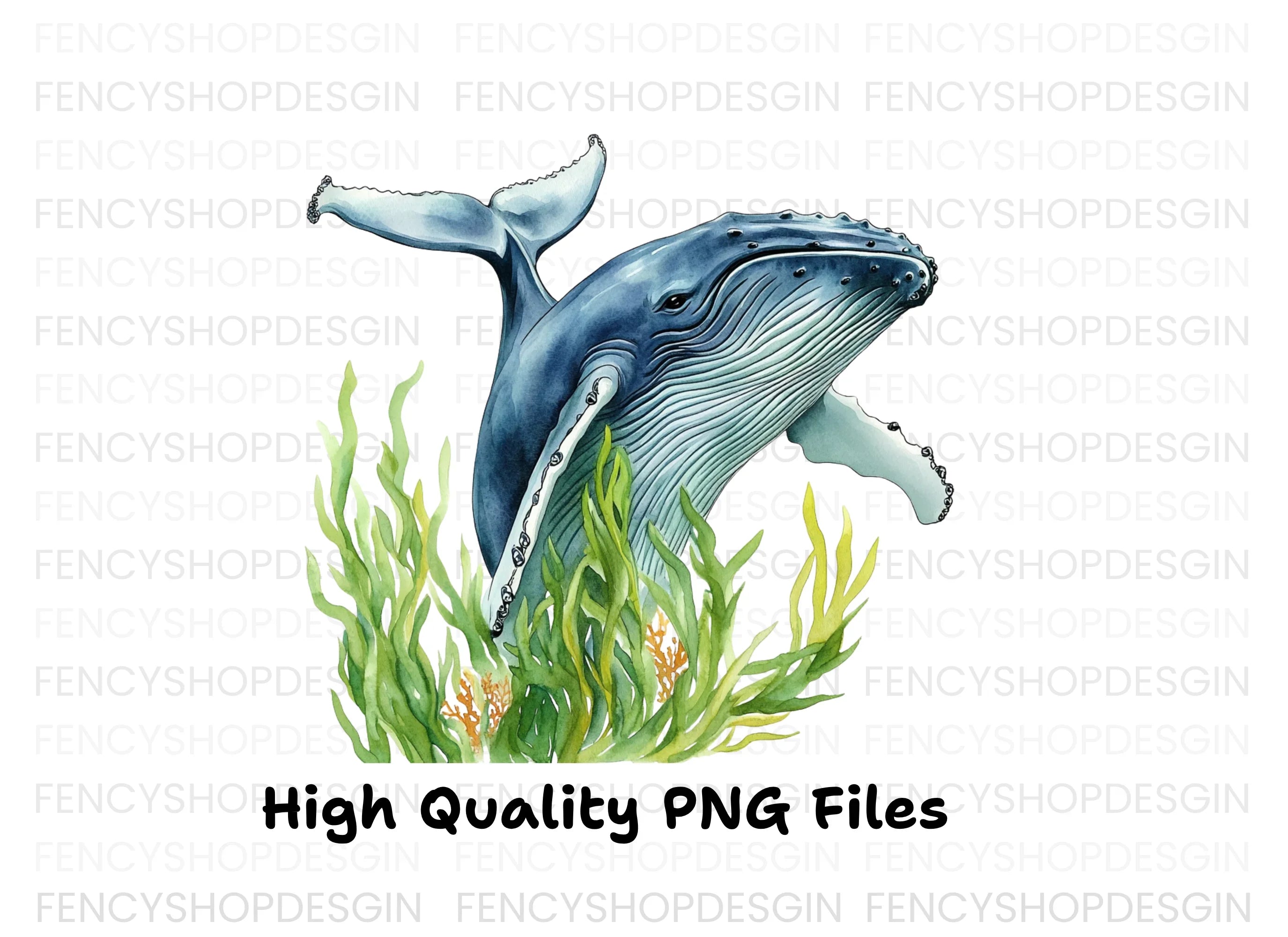 Humpback Whales in Seaweed Clipart Bundle