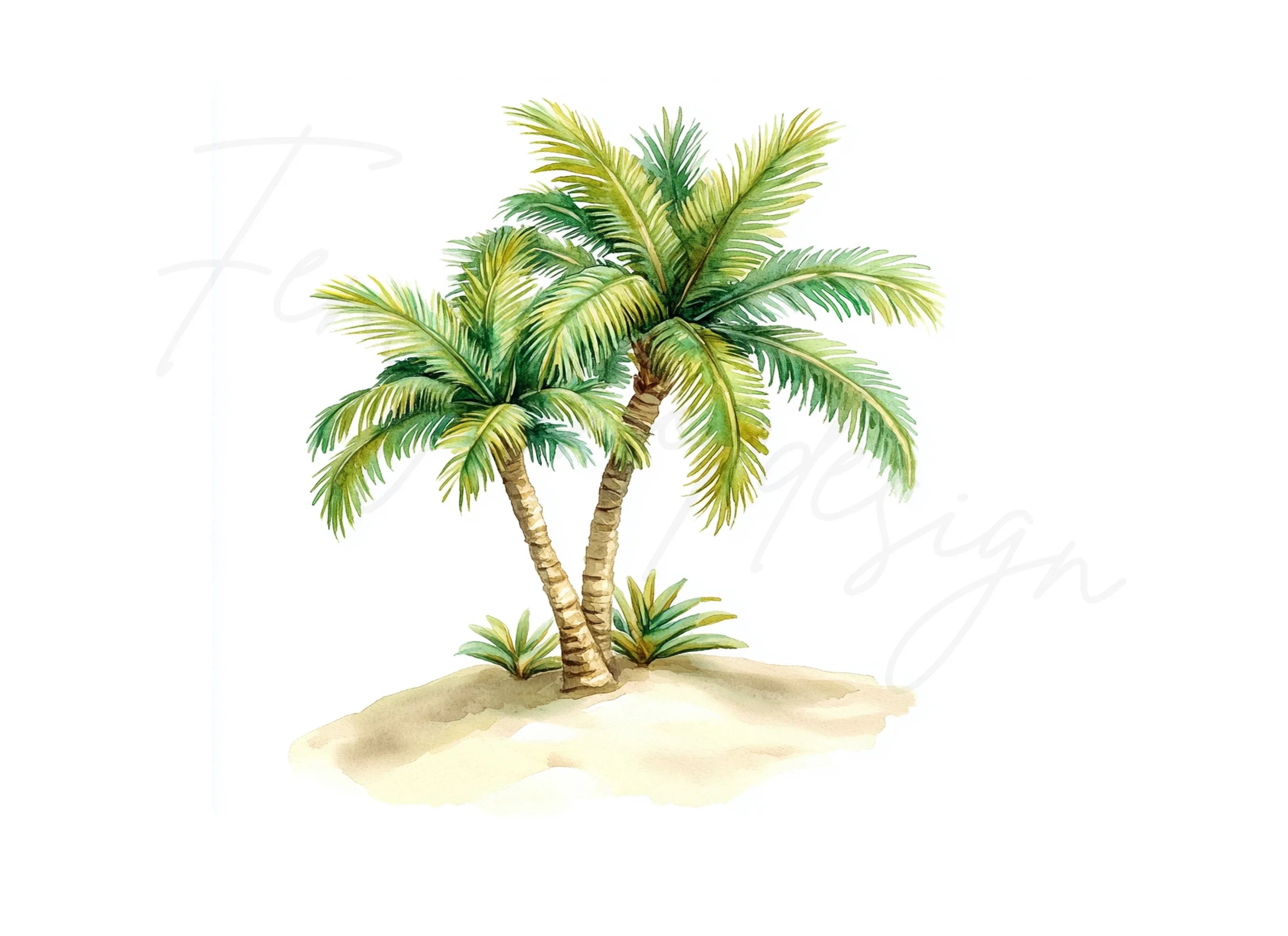 Tropical Island Palm Bush Clipart Bundle
