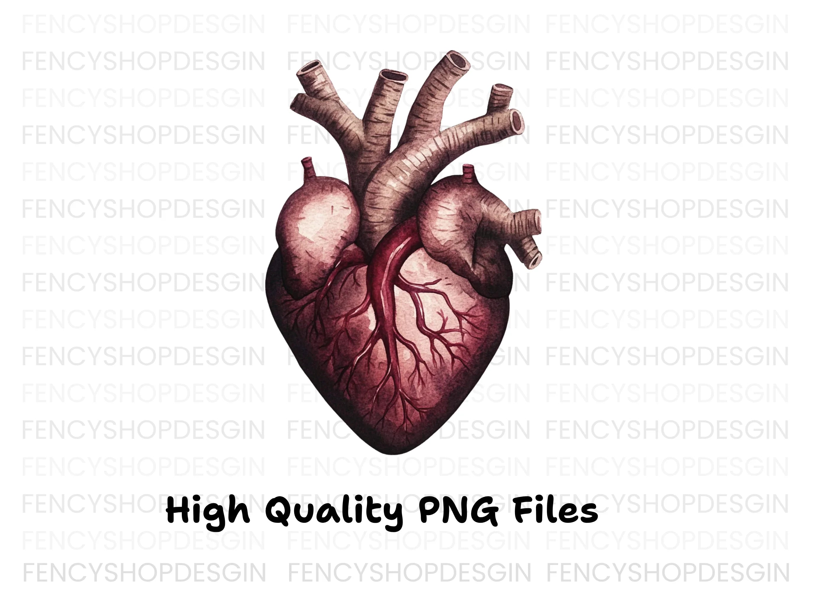 Anatomical Human Heart Clipart Bundle