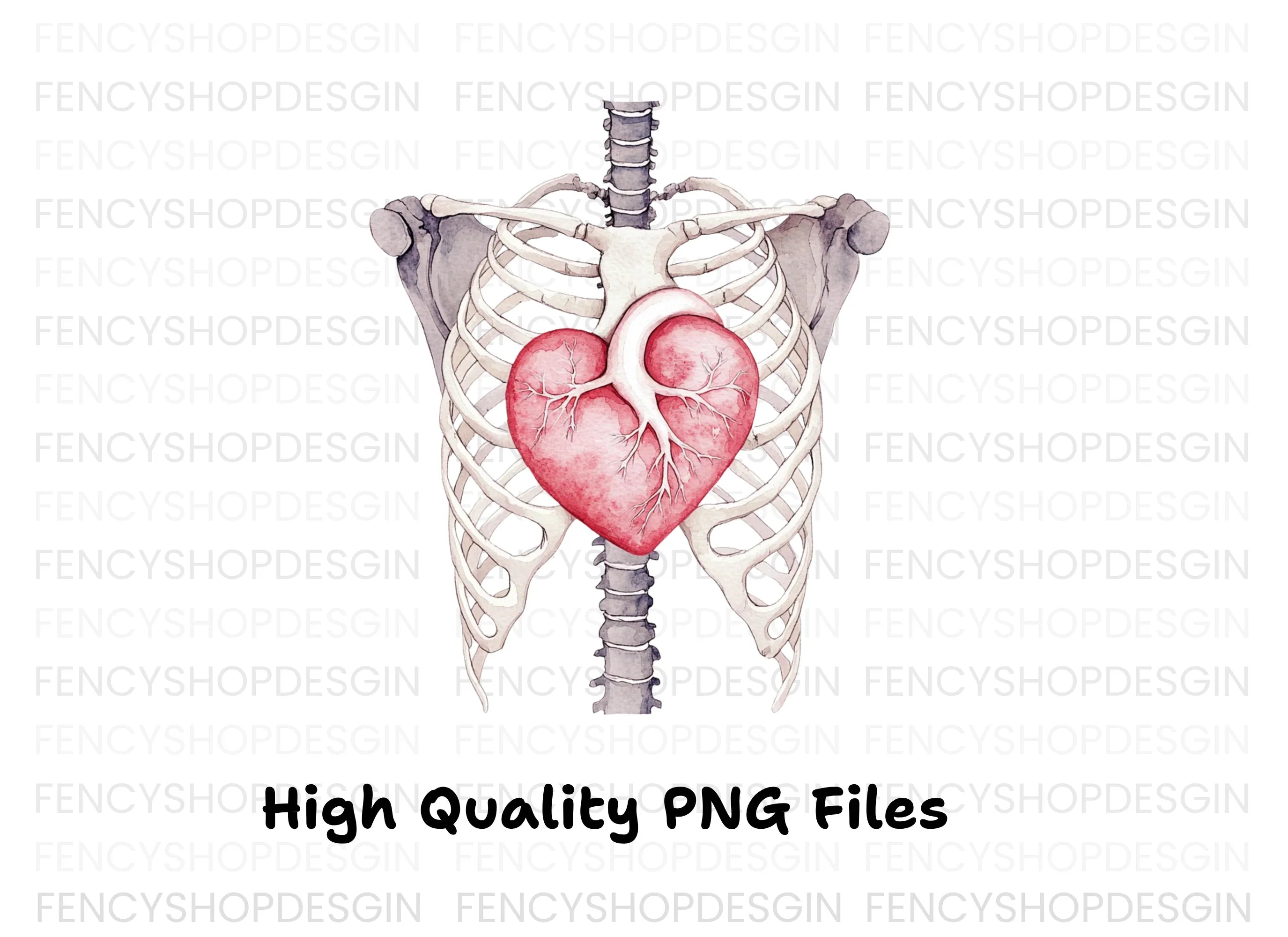 Anatomical Heart and Ribcage Clipart Bundle