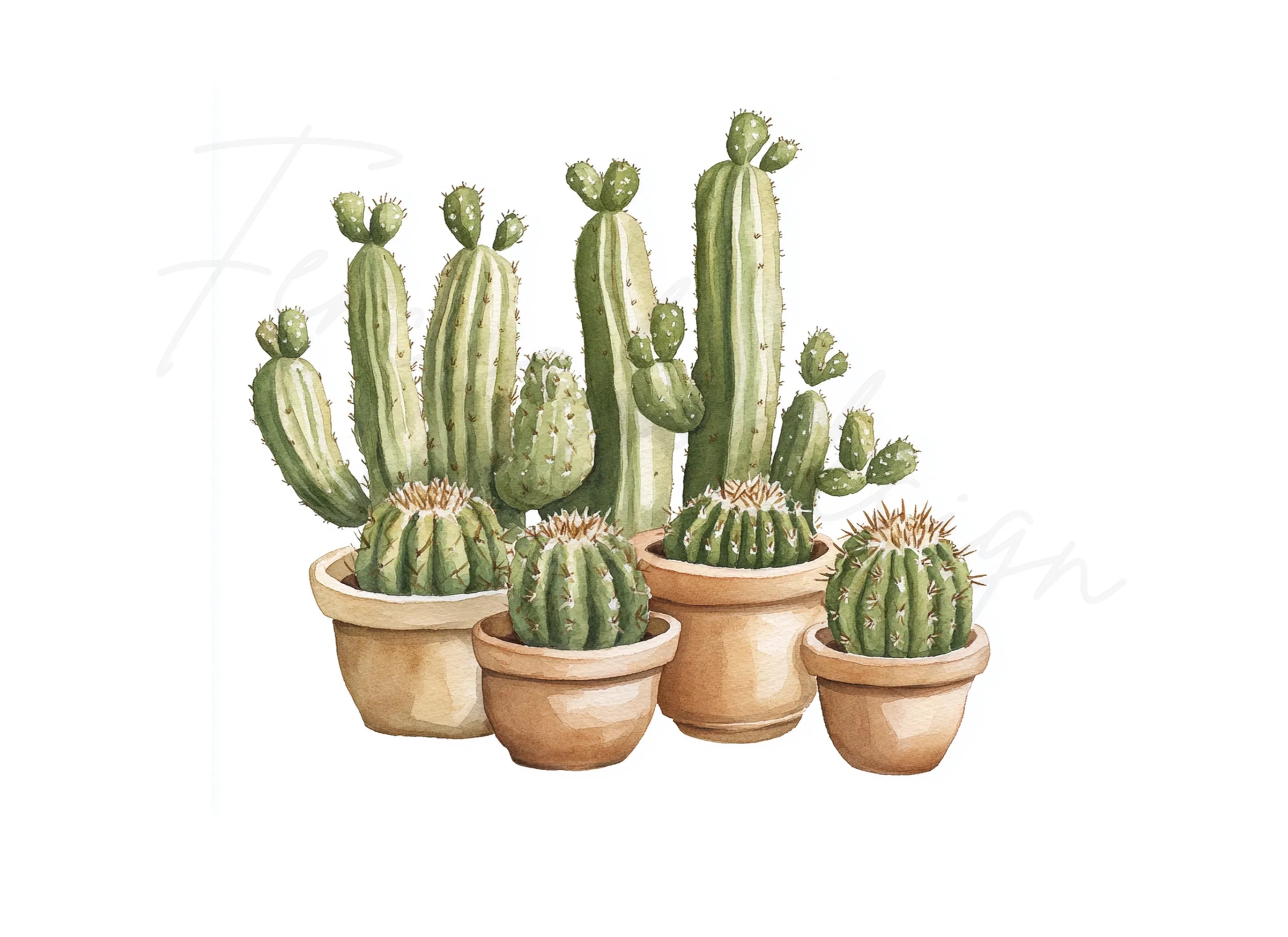 Cactus Clipart Bundle