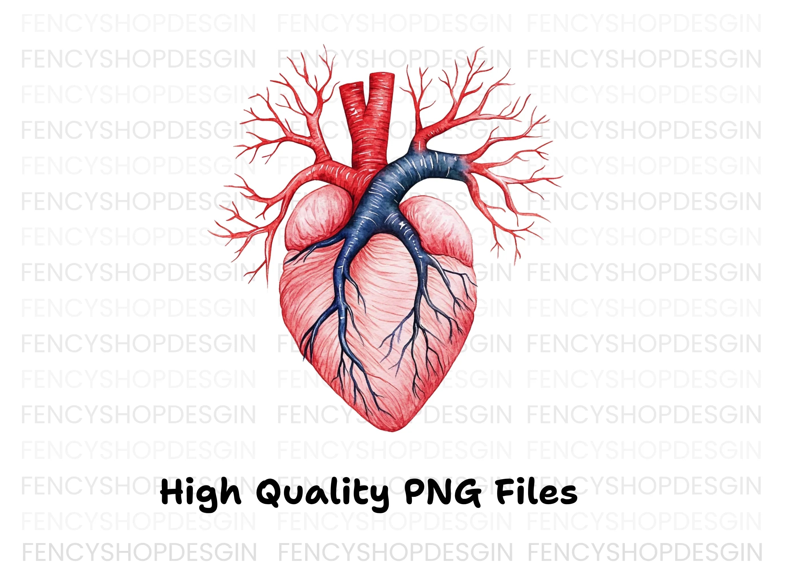Anatomical Human Heart Clipart Bundle